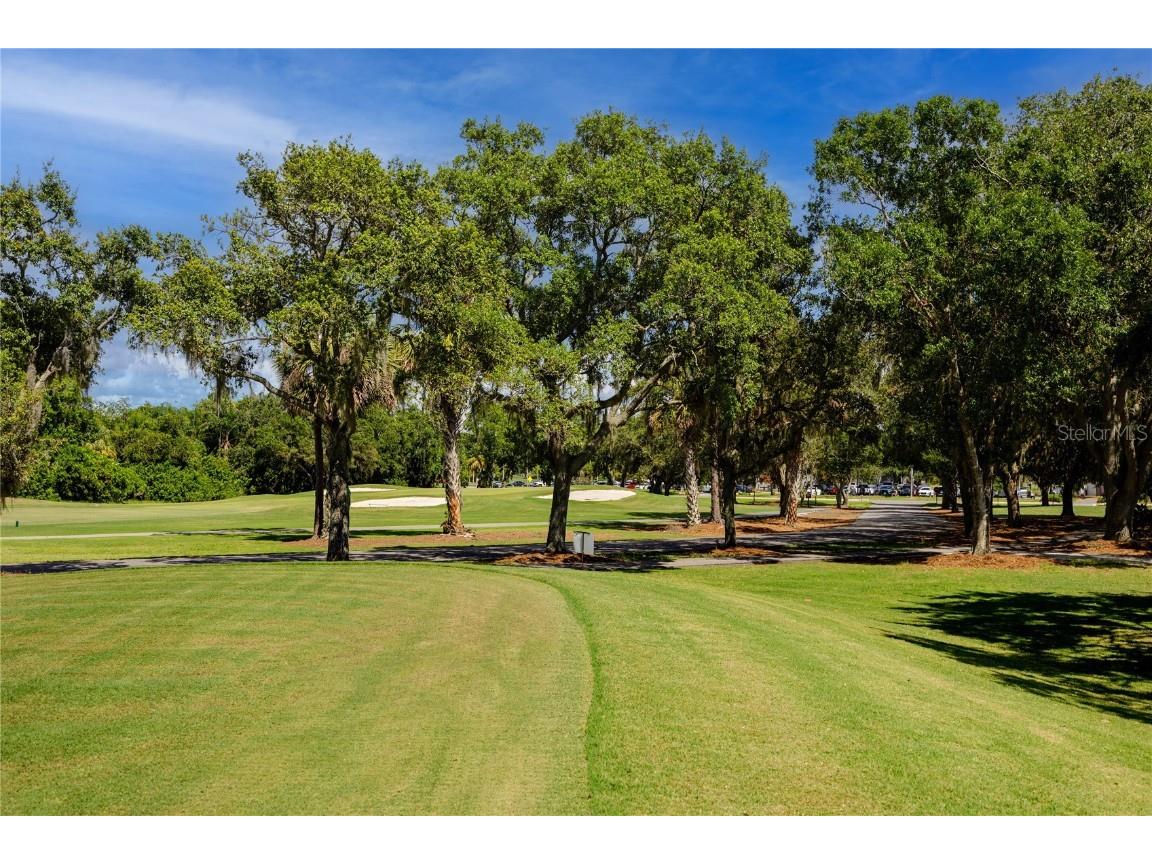 209 Cypress Court #209 Oldsmar FL 34677 TB8457055 image37