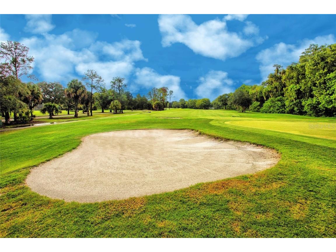 209 Cypress Court #209 Oldsmar FL 34677 TB8457055 image38