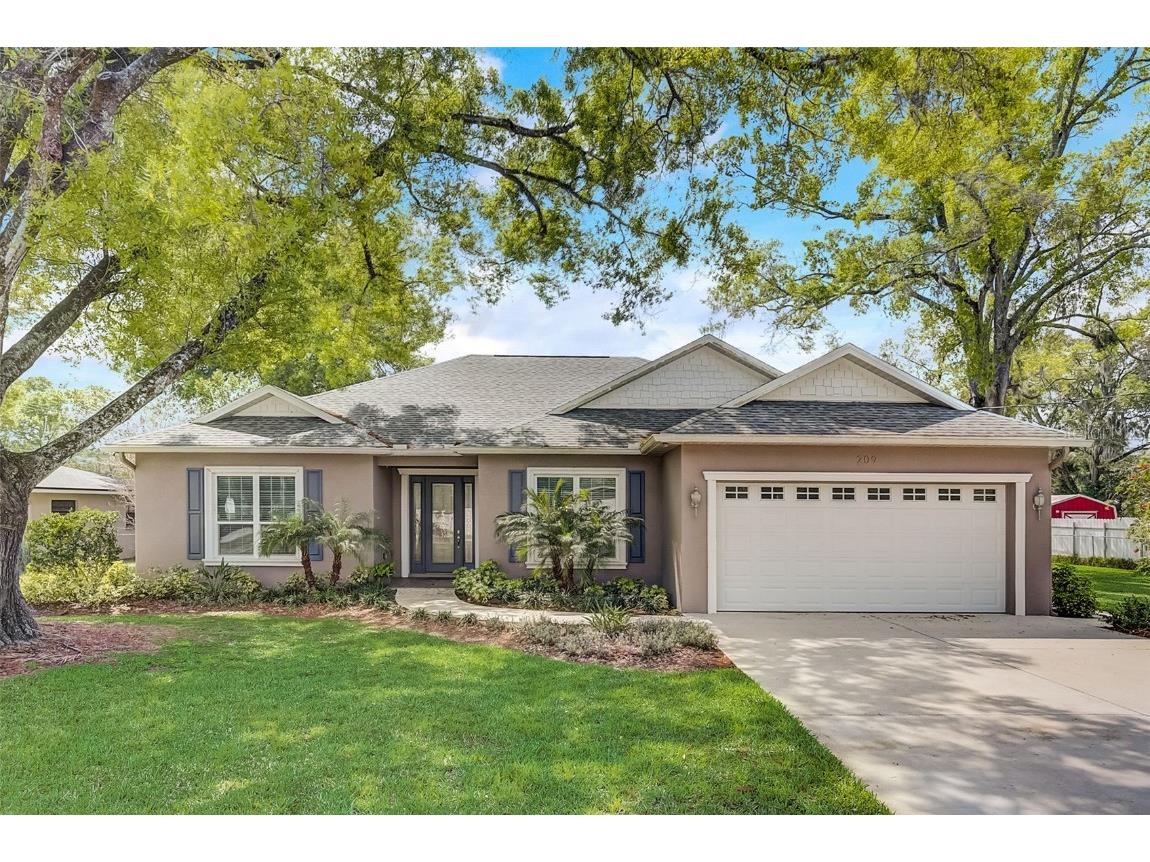 209 E Sadie Street Brandon FL 33510 T3510249 image1