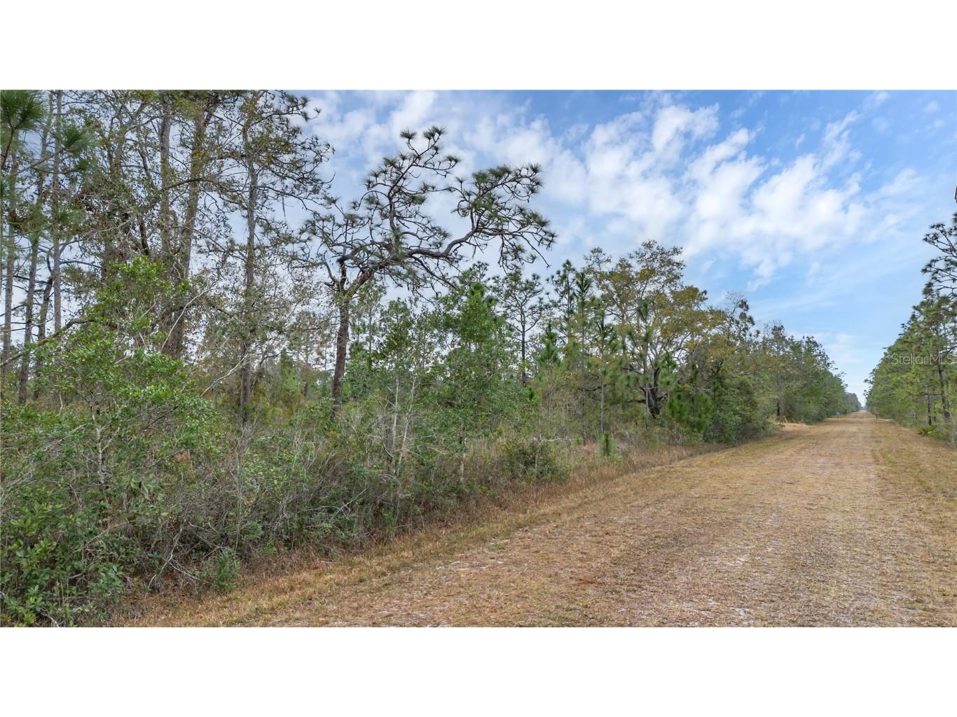 209 El Dorado Drive Indian Lake Estates FL 33855 - LAKE WALK IN WATER S5118517 image2