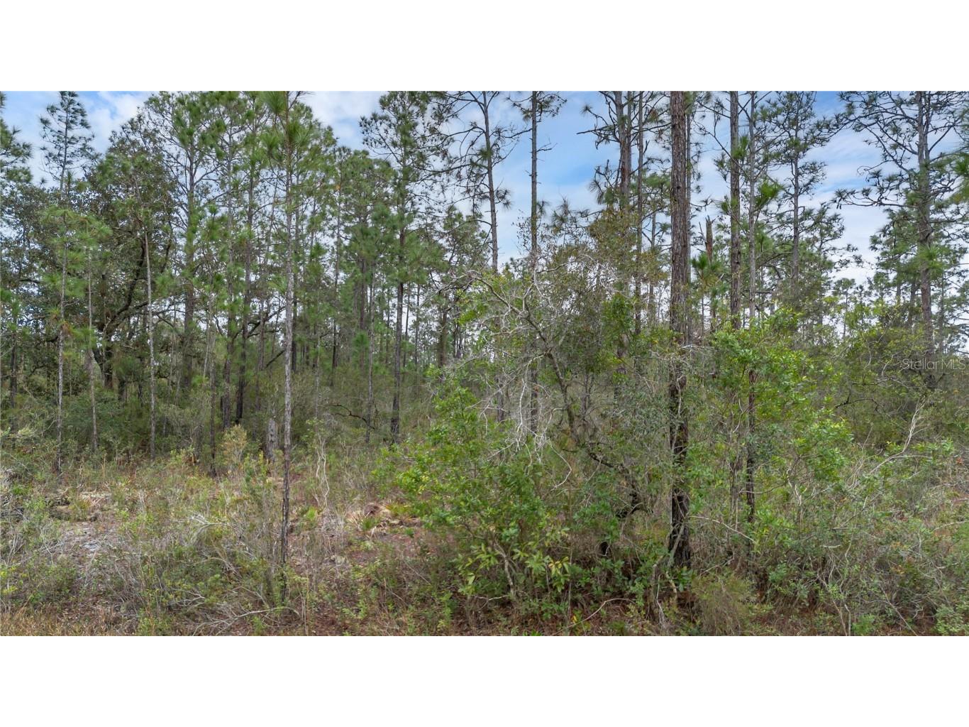 209 El Dorado Drive Indian Lake Estates FL 33855 - LAKE WALK IN WATER S5118517 image4