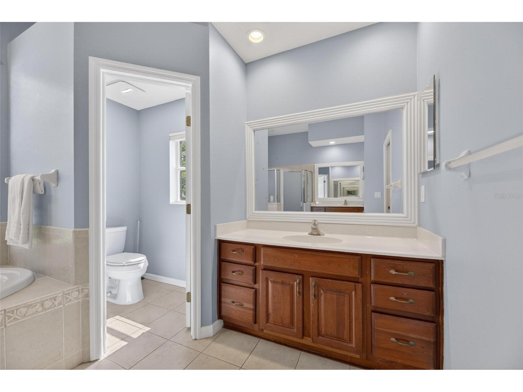 209 Forest Breeze Avenue Brandon FL 33511 TB8519542 image26