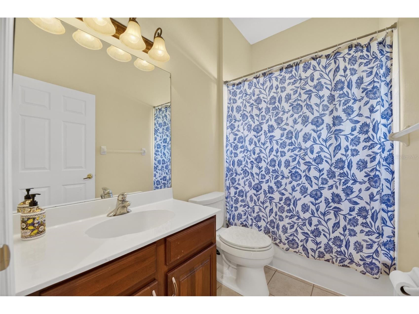 209 Forest Breeze Avenue Brandon FL 33511 TB8519542 image31