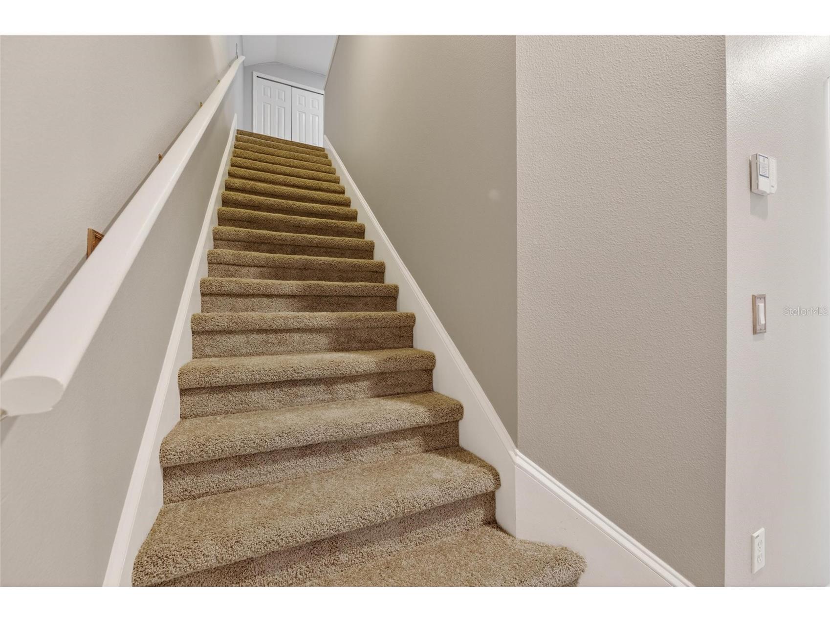 209 Forest Breeze Avenue Brandon FL 33511 TB8519542 image35
