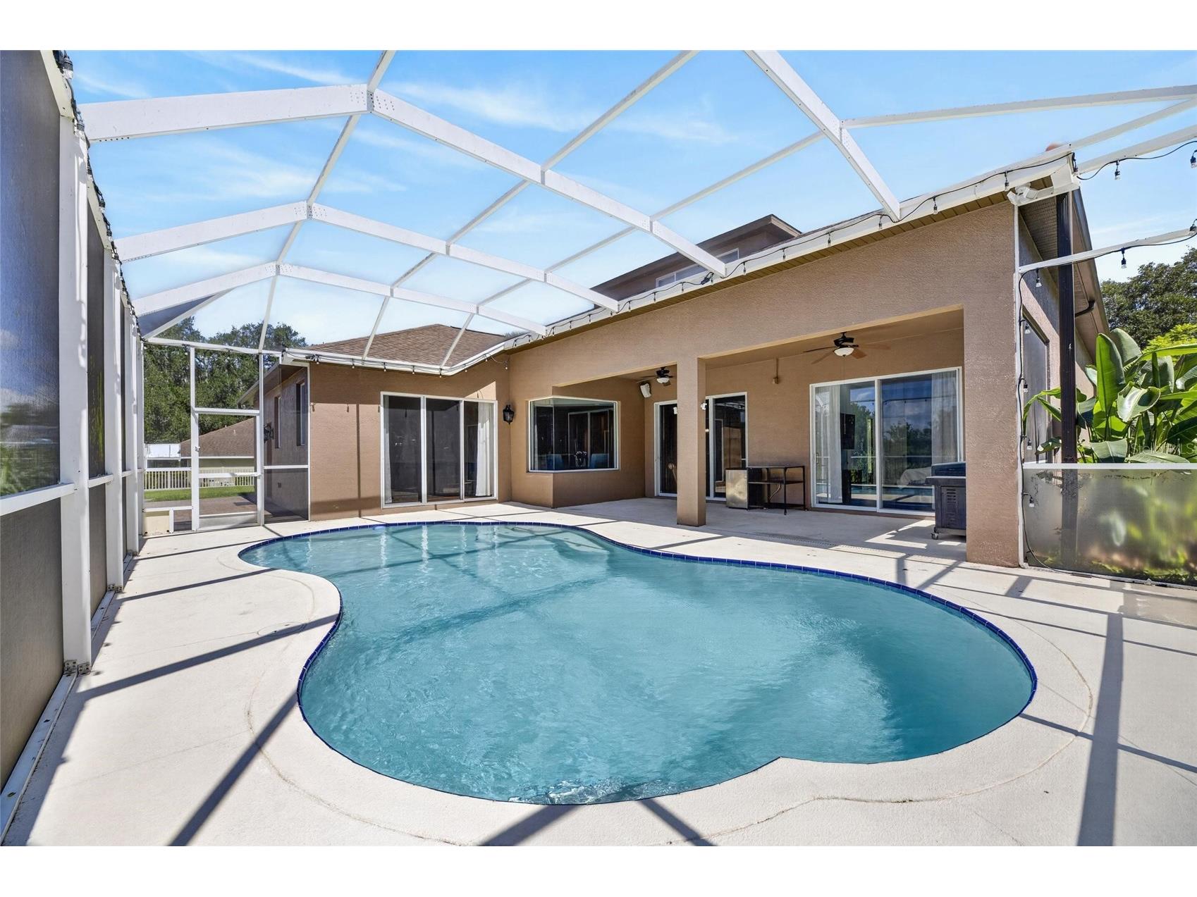 209 Forest Breeze Avenue Brandon FL 33511 TB8519542 image47