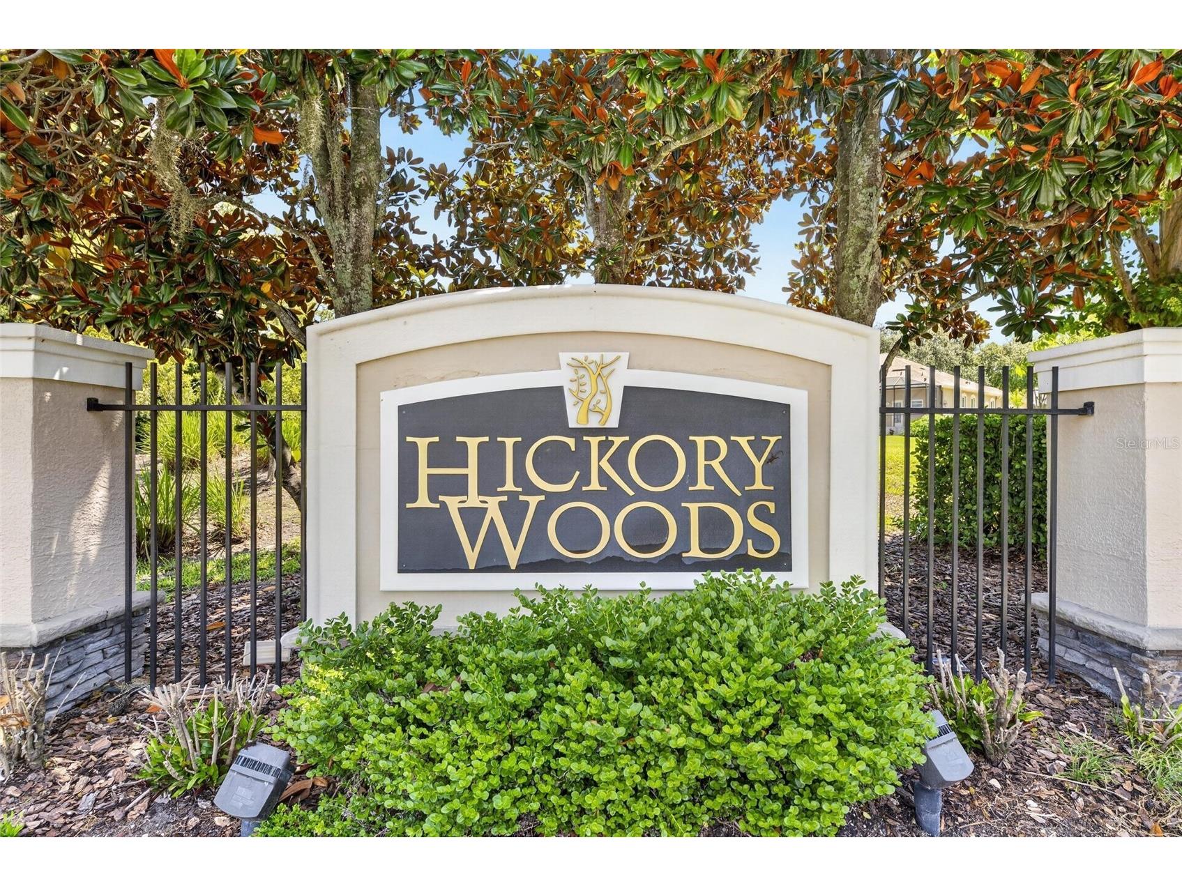 209 Forest Breeze Avenue Brandon FL 33511 TB8519542 image60