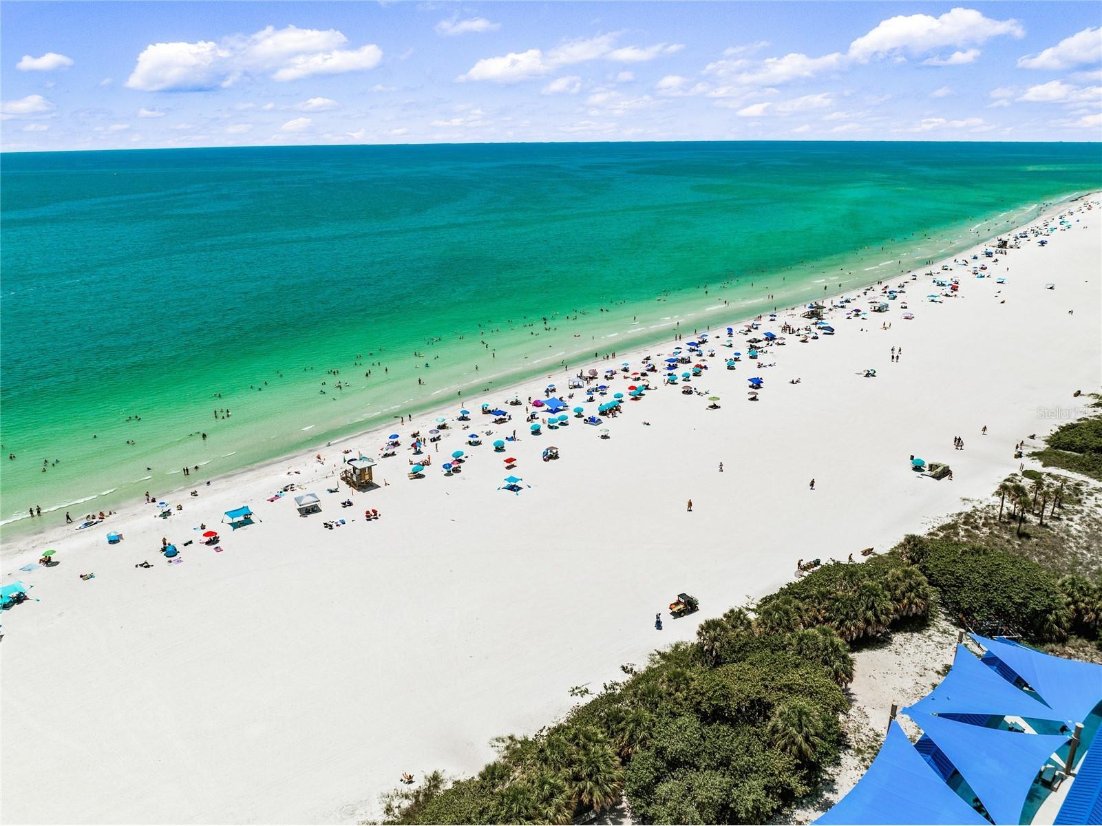 209 Garfield Drive Sarasota FL 34236 A4688244 image60