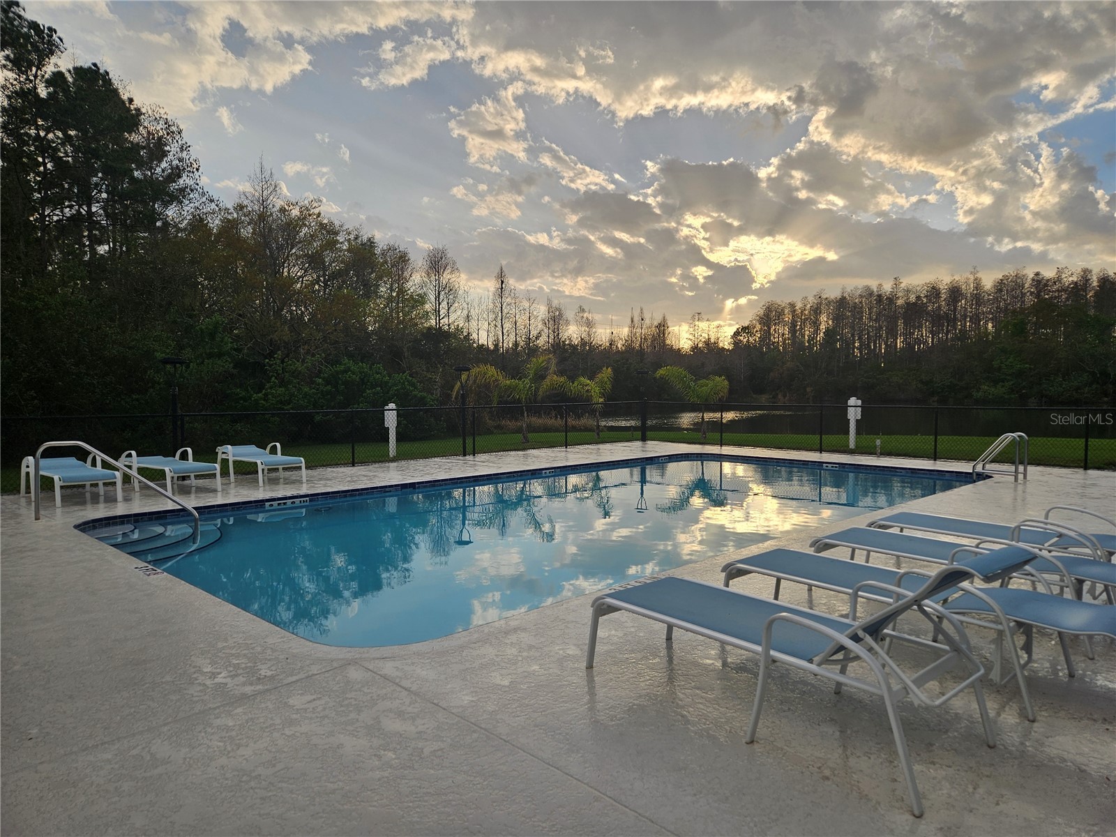 209 Hemingway Drive Oldsmar FL 34677 TB8483445 image16