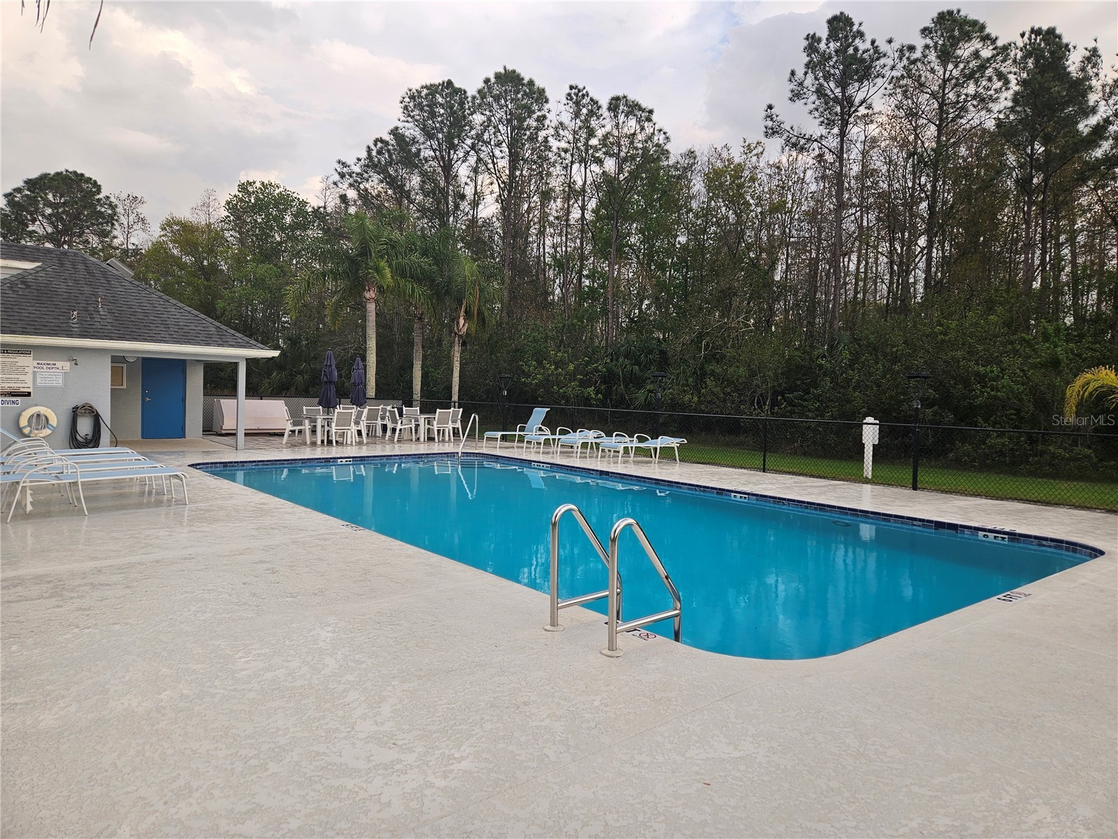 209 Hemingway Drive Oldsmar FL 34677 TB8483445 image17