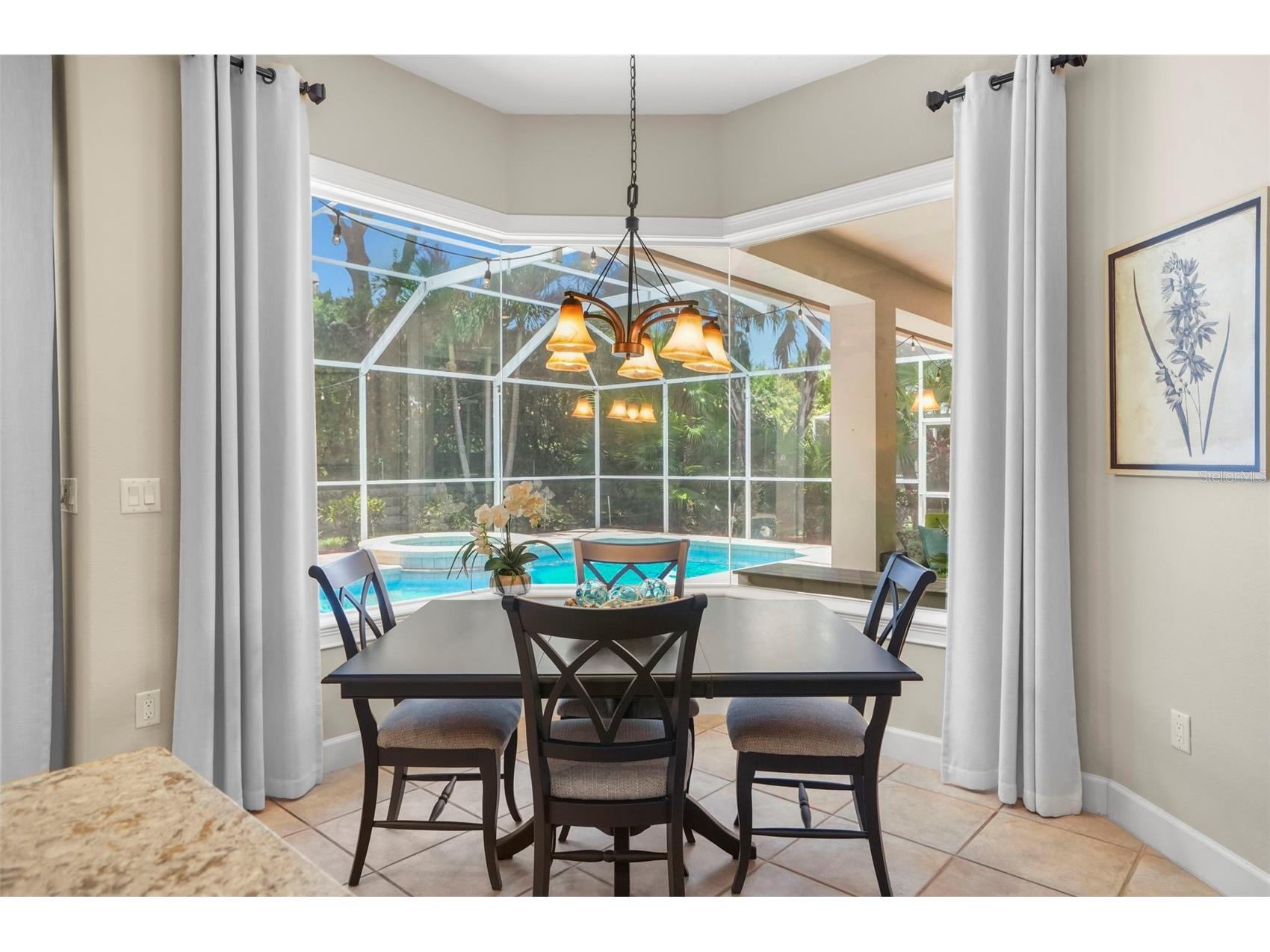 209 Highland Woods Drive Safety Harbor FL 34695 TB8513515 image17