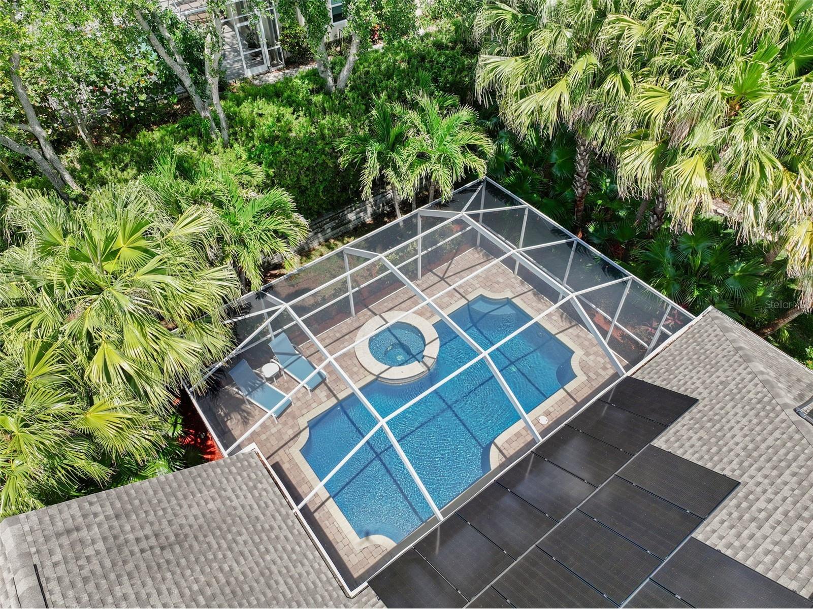 209 Highland Woods Drive Safety Harbor FL 34695 TB8513515 image3
