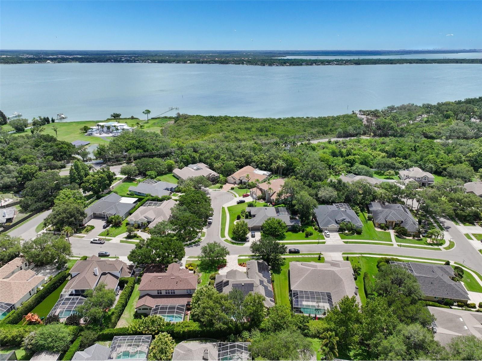 209 Highland Woods Drive Safety Harbor FL 34695 TB8513515 image4