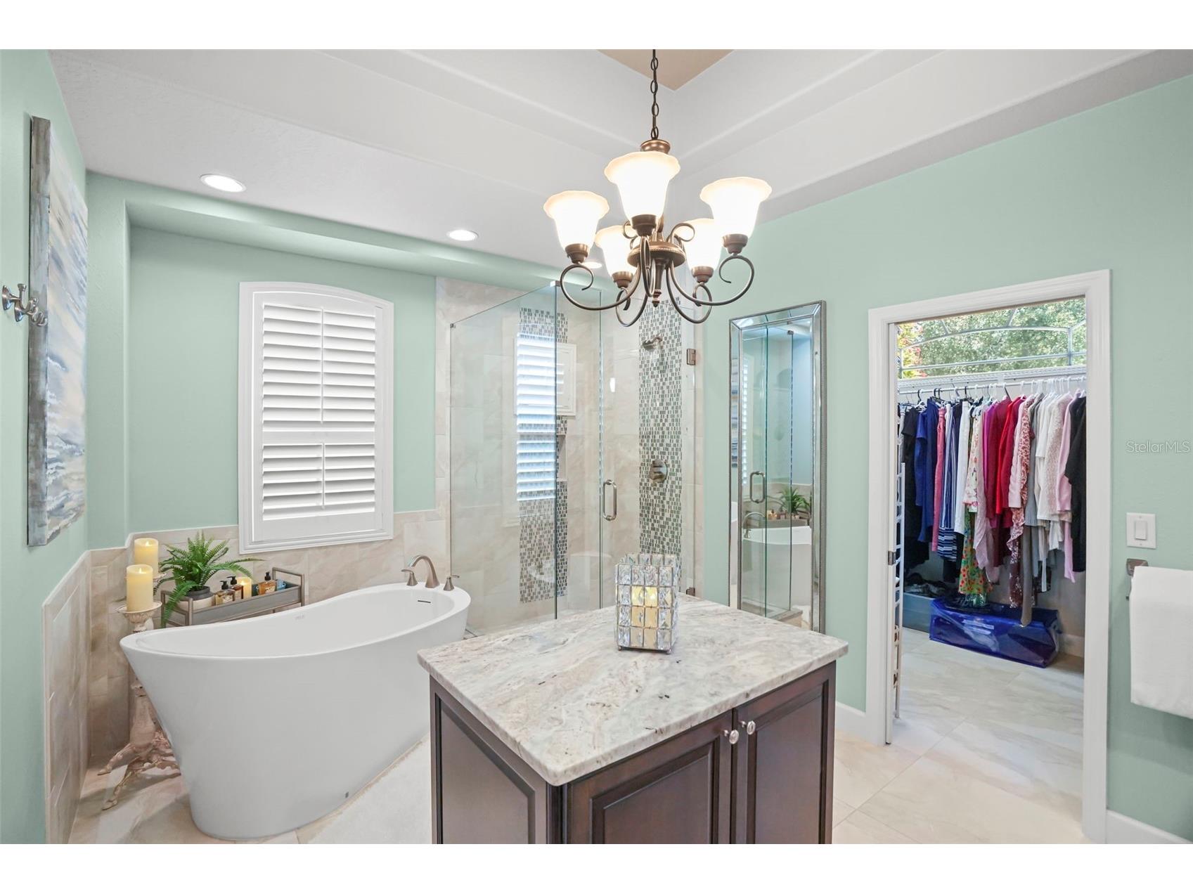 209 Highland Woods Drive Safety Harbor FL 34695 TB8513515 image44