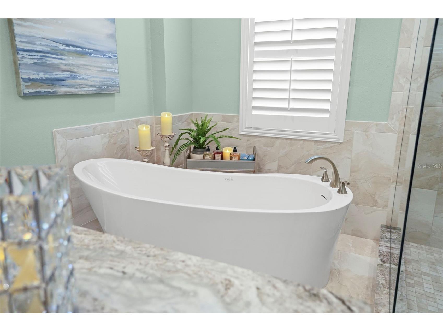209 Highland Woods Drive Safety Harbor FL 34695 TB8513515 image45