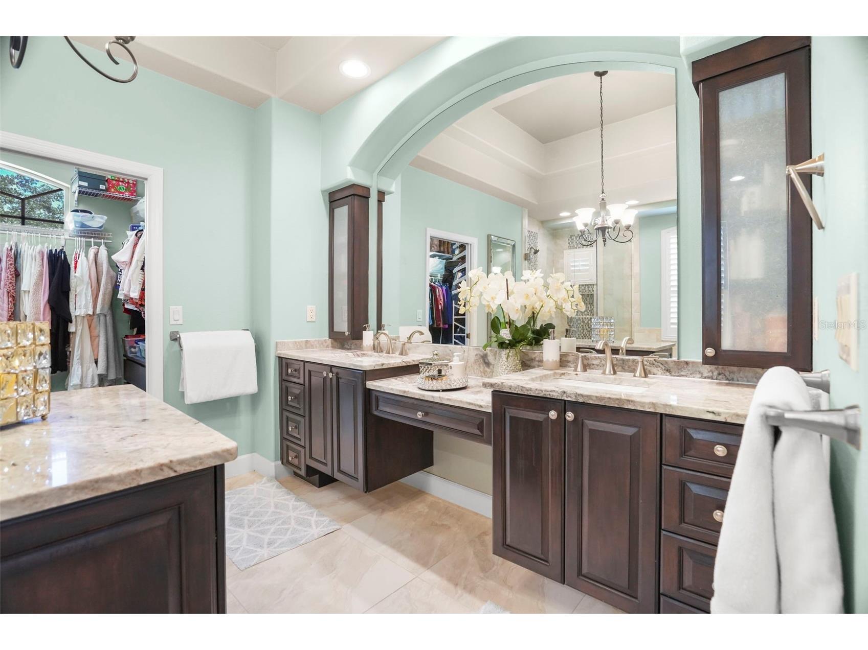209 Highland Woods Drive Safety Harbor FL 34695 TB8513515 image48
