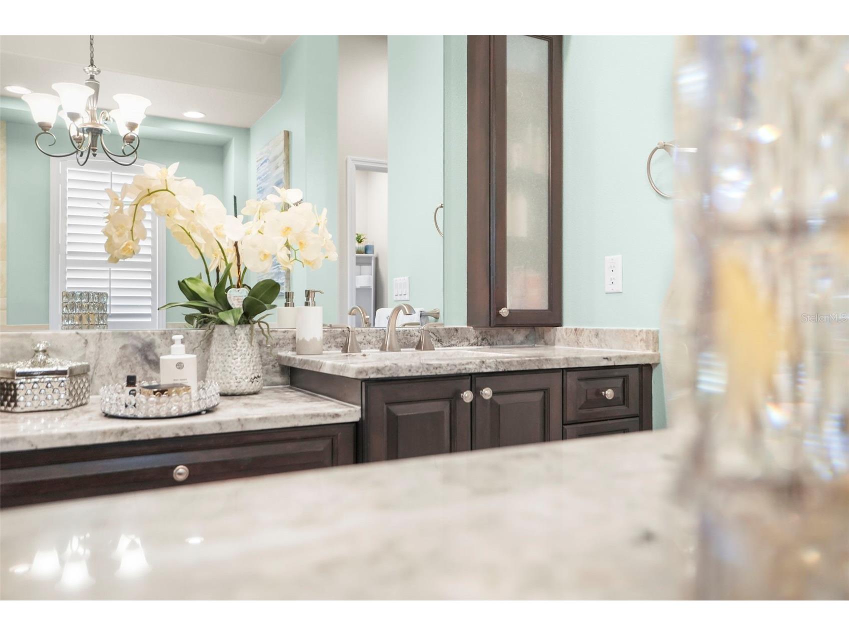 209 Highland Woods Drive Safety Harbor FL 34695 TB8513515 image49
