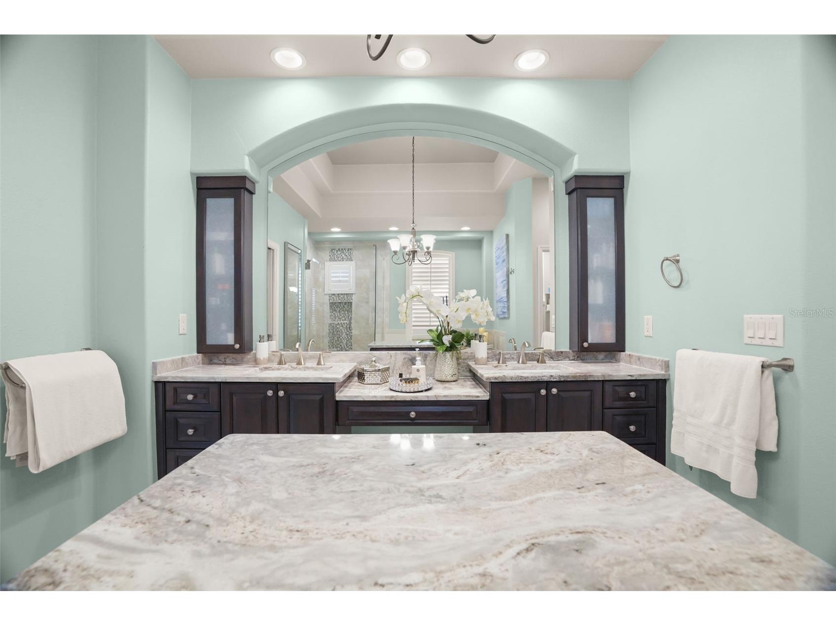 209 Highland Woods Drive Safety Harbor FL 34695 TB8513515 image50