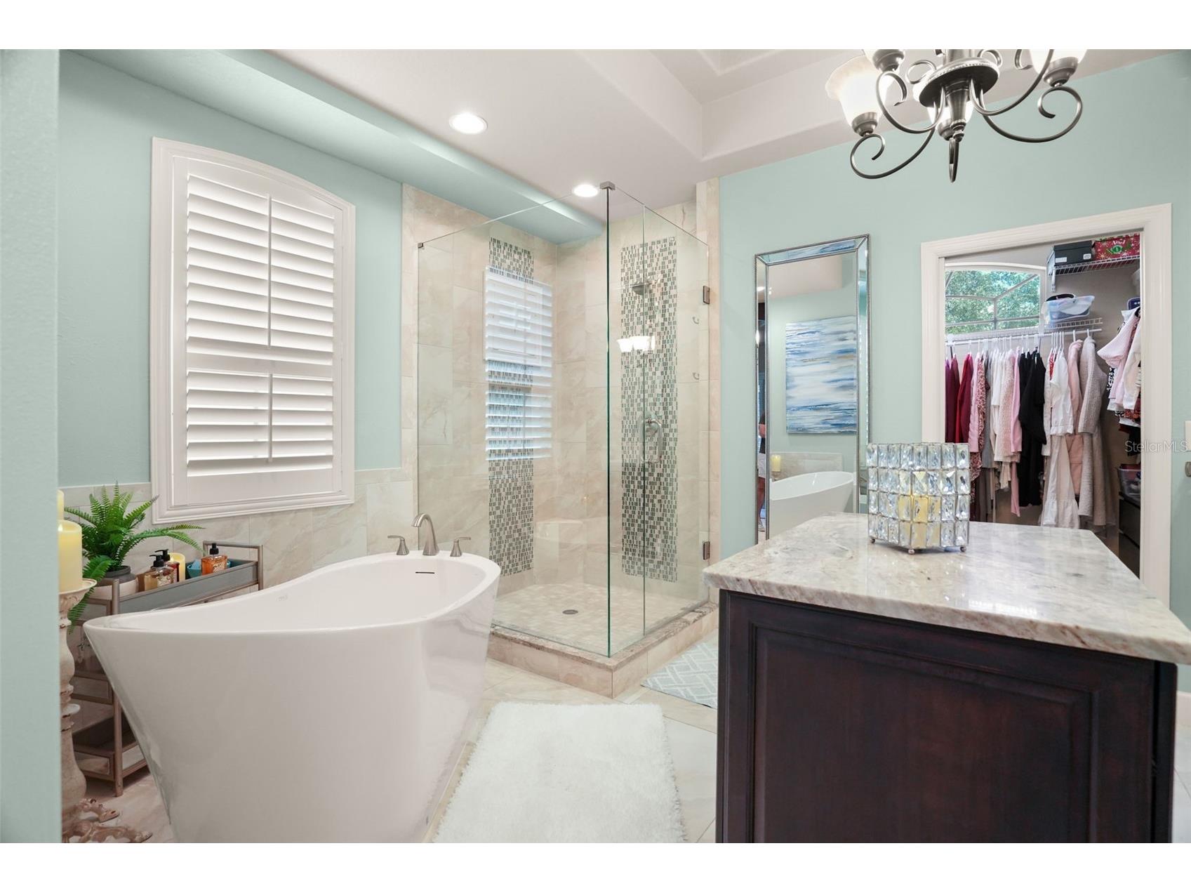209 Highland Woods Drive Safety Harbor FL 34695 TB8513515 image51