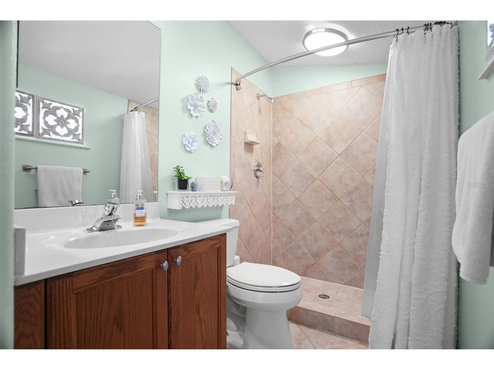 209 Highland Woods Drive Safety Harbor FL 34695 TB8513515 image64