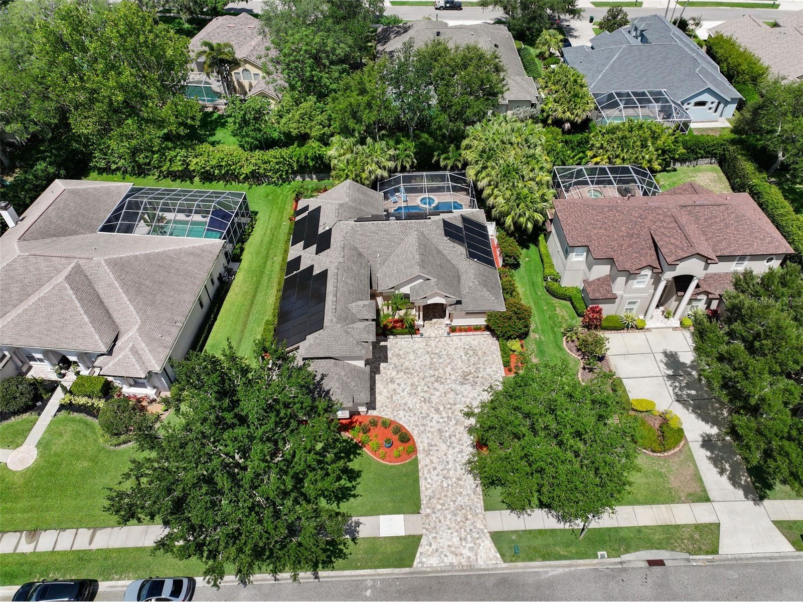 209 Highland Woods Drive Safety Harbor FL 34695 TB8513515 image79