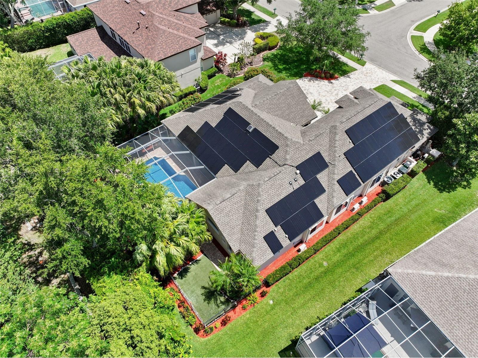 209 Highland Woods Drive Safety Harbor FL 34695 TB8513515 image82