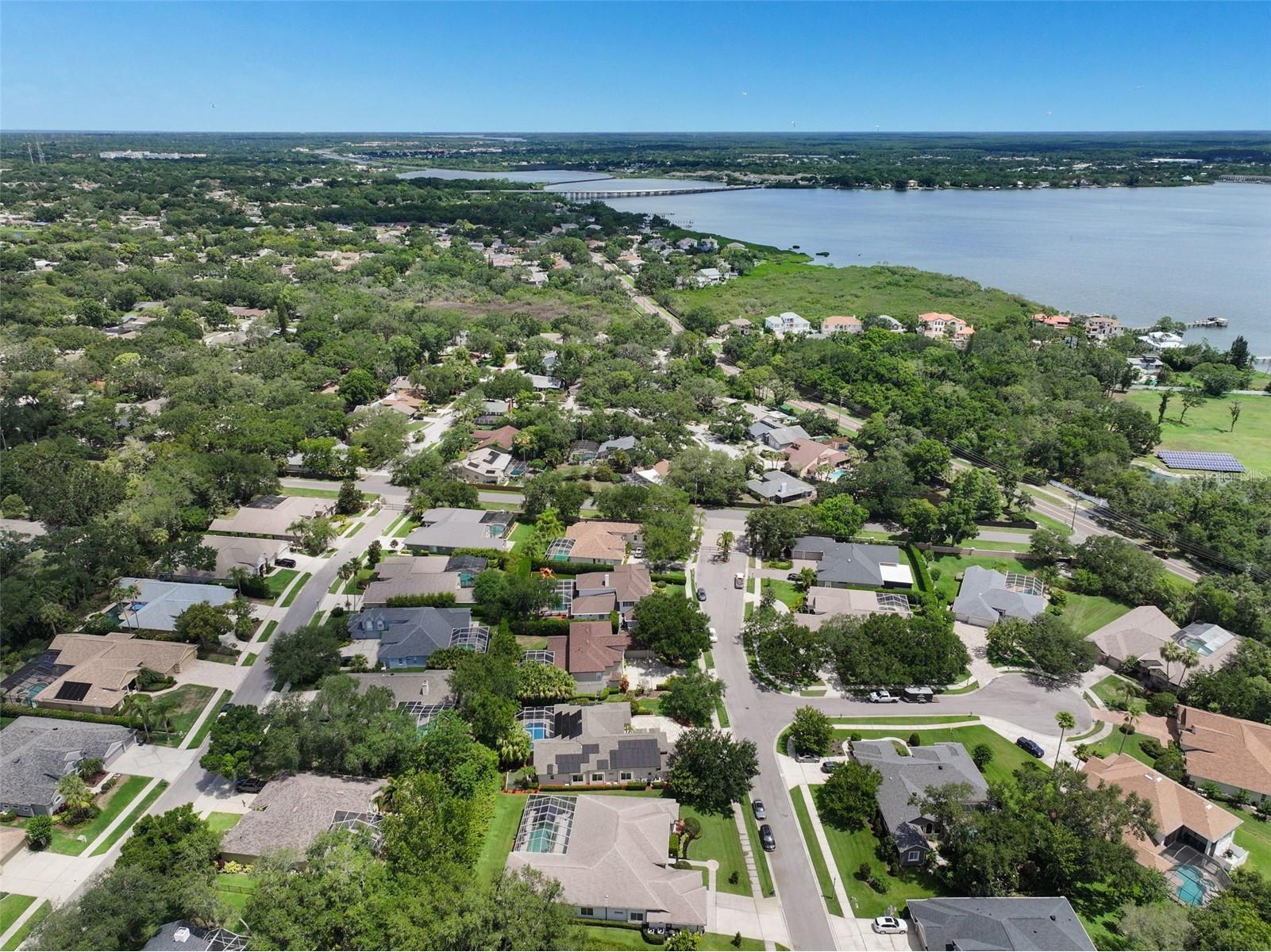209 Highland Woods Drive Safety Harbor FL 34695 TB8513515 image83