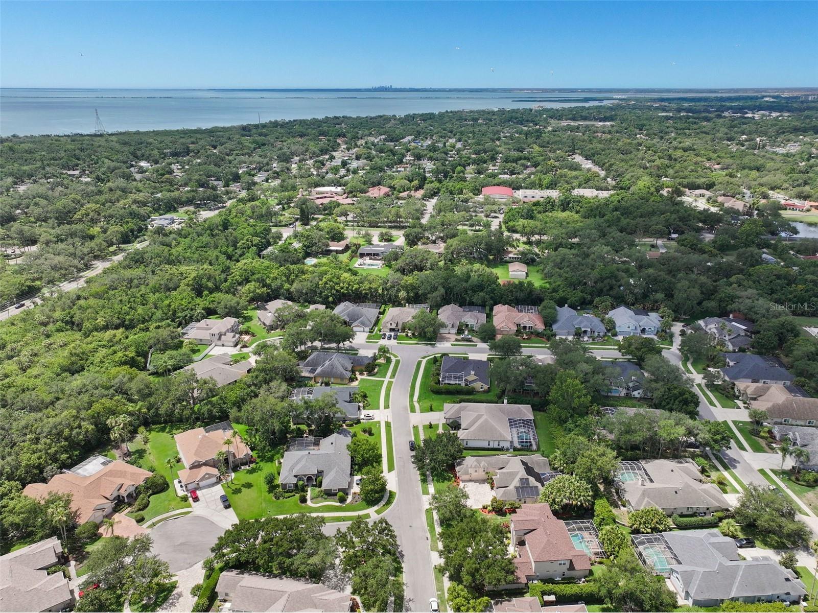 209 Highland Woods Drive Safety Harbor FL 34695 TB8513515 image84