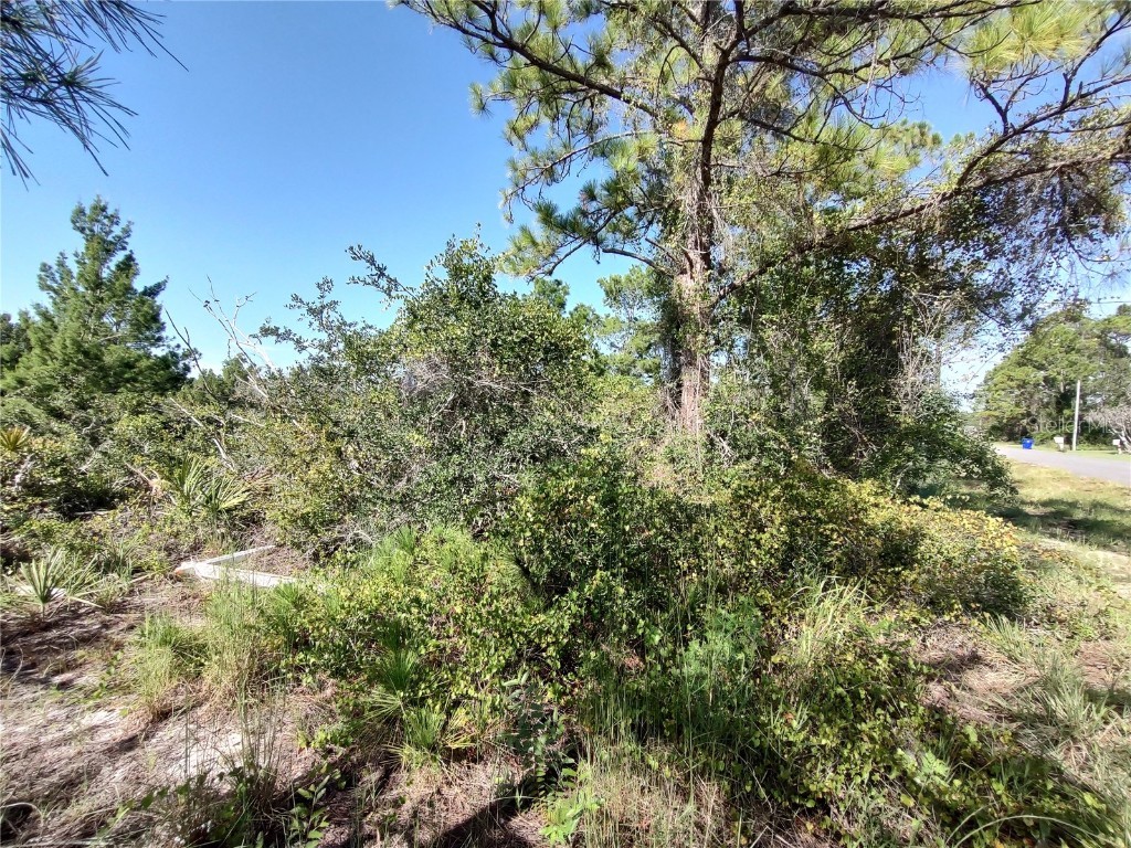 209 Islamorada Street NE Lake Placid FL 33852 P4927011 image1