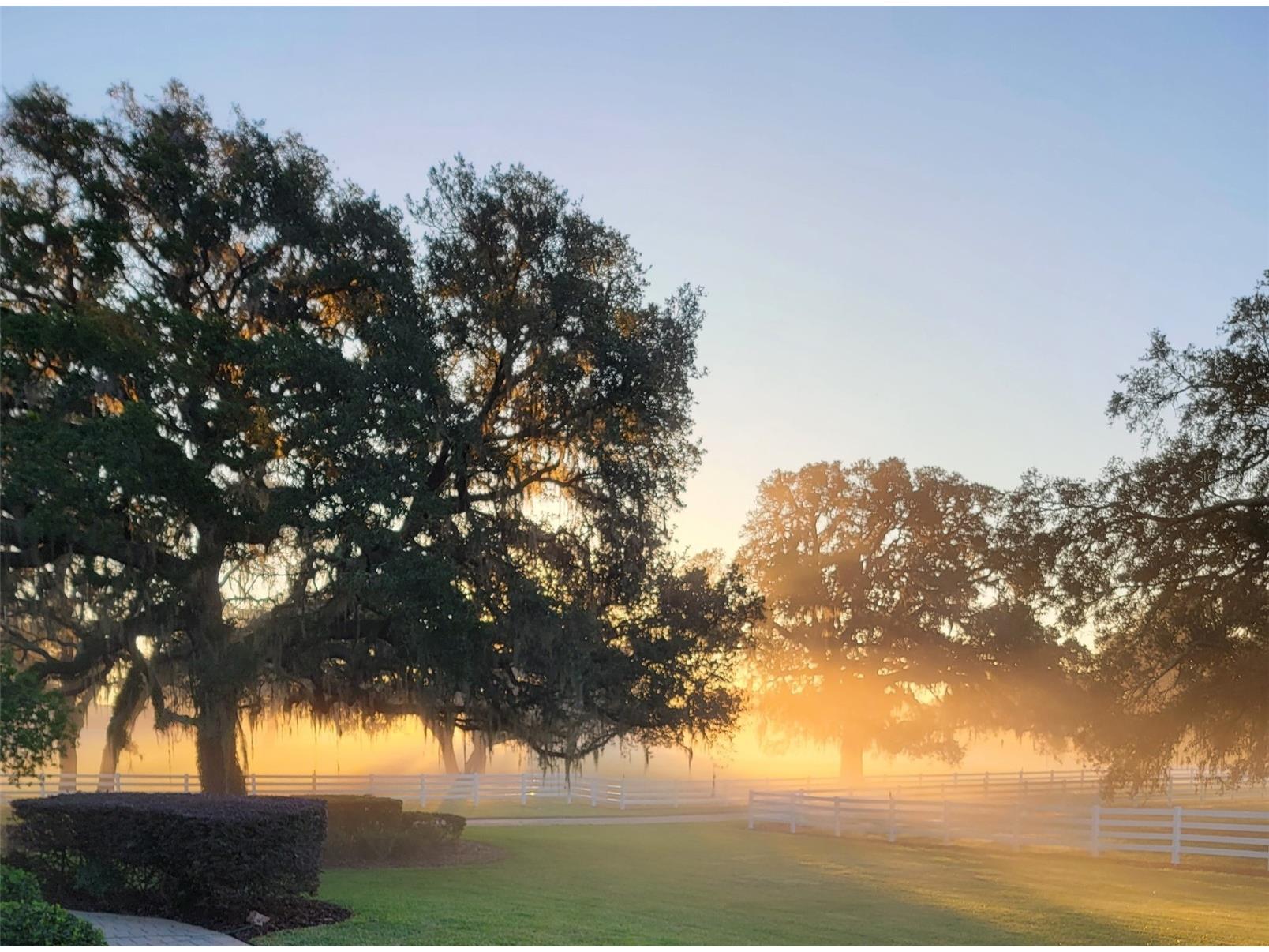 209 Kentucky Blue Circle Apopka FL 32712 O6358949 image12