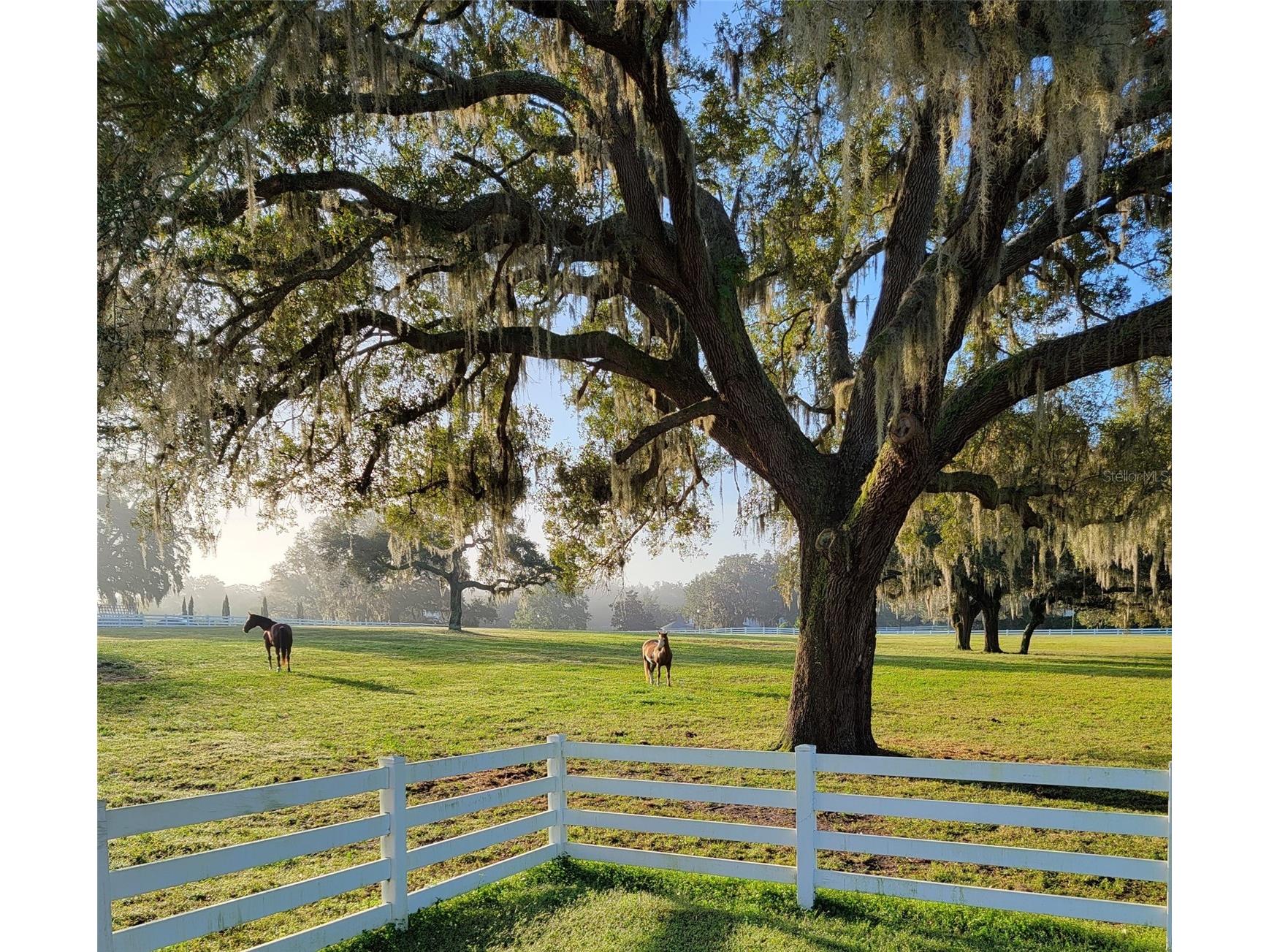 209 Kentucky Blue Circle Apopka FL 32712 O6358949 image13