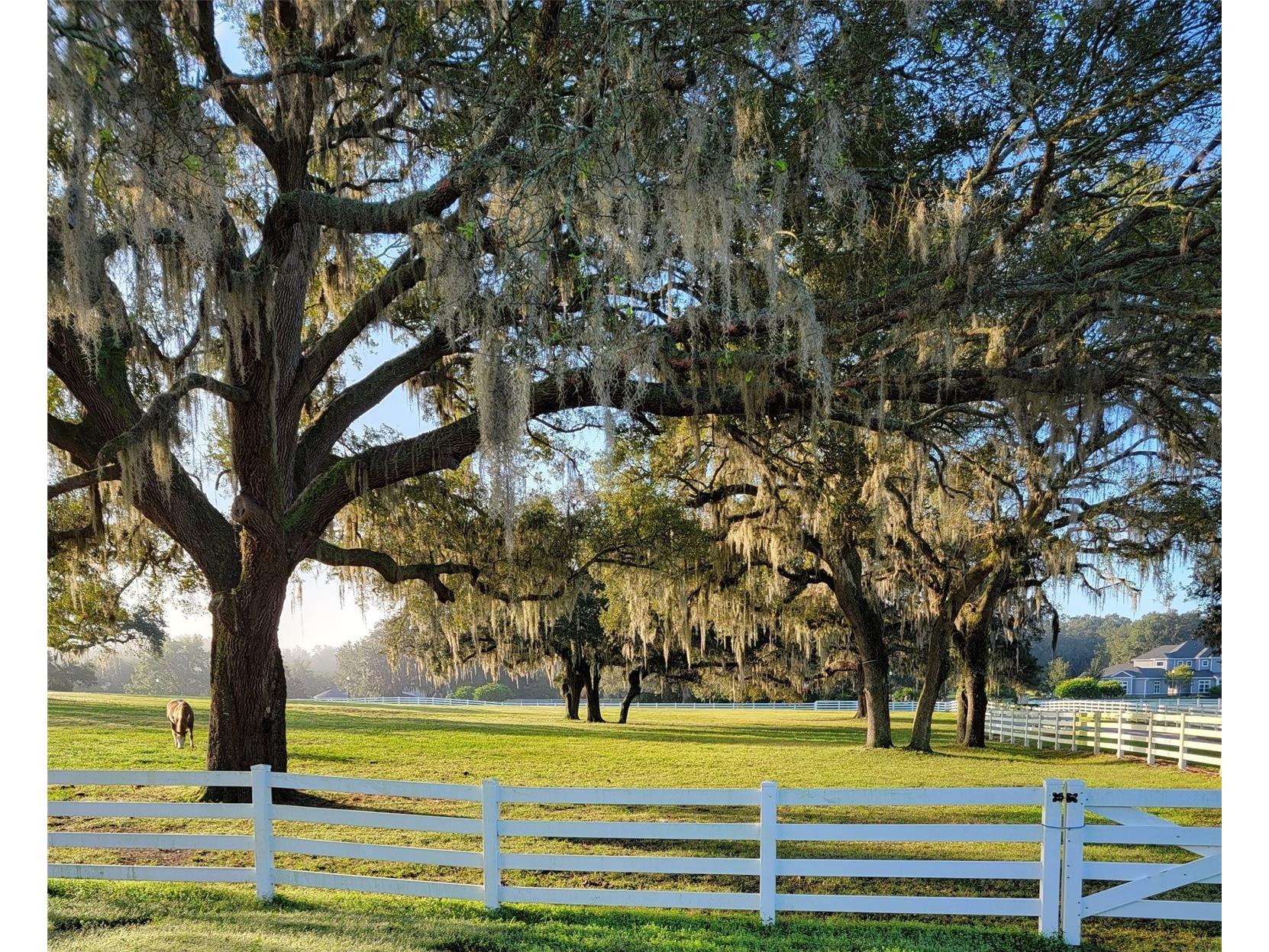 209 Kentucky Blue Circle Apopka FL 32712 O6358949 image14