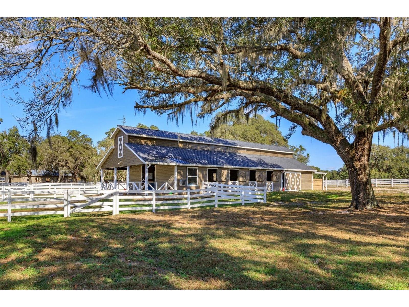 209 Kentucky Blue Circle Apopka FL 32712 O6358949 image24