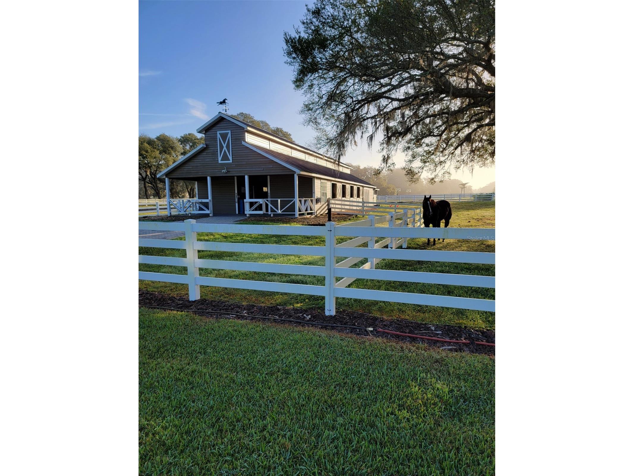 209 Kentucky Blue Circle Apopka FL 32712 O6358949 image3