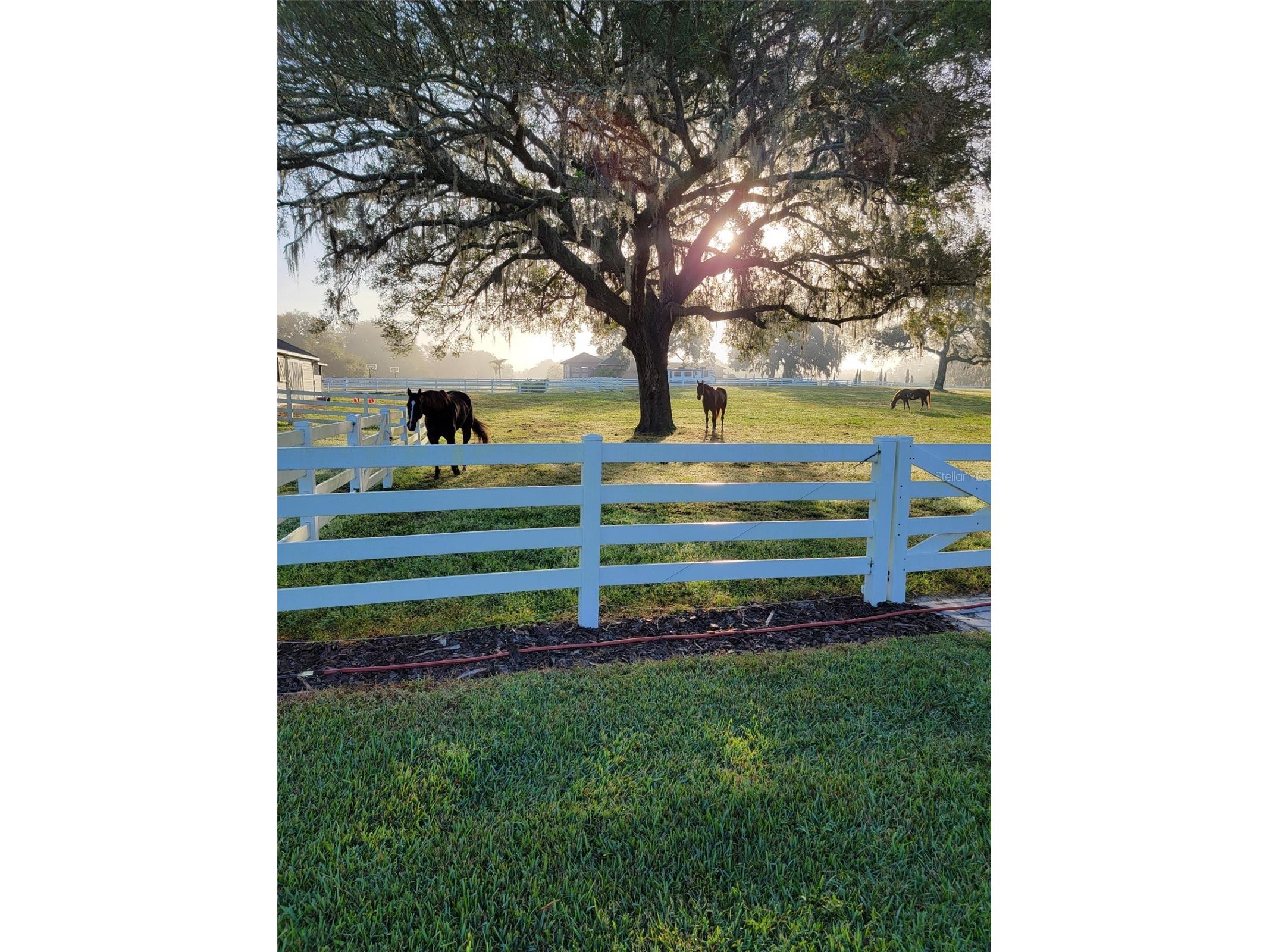 209 Kentucky Blue Circle Apopka FL 32712 O6358949 image64