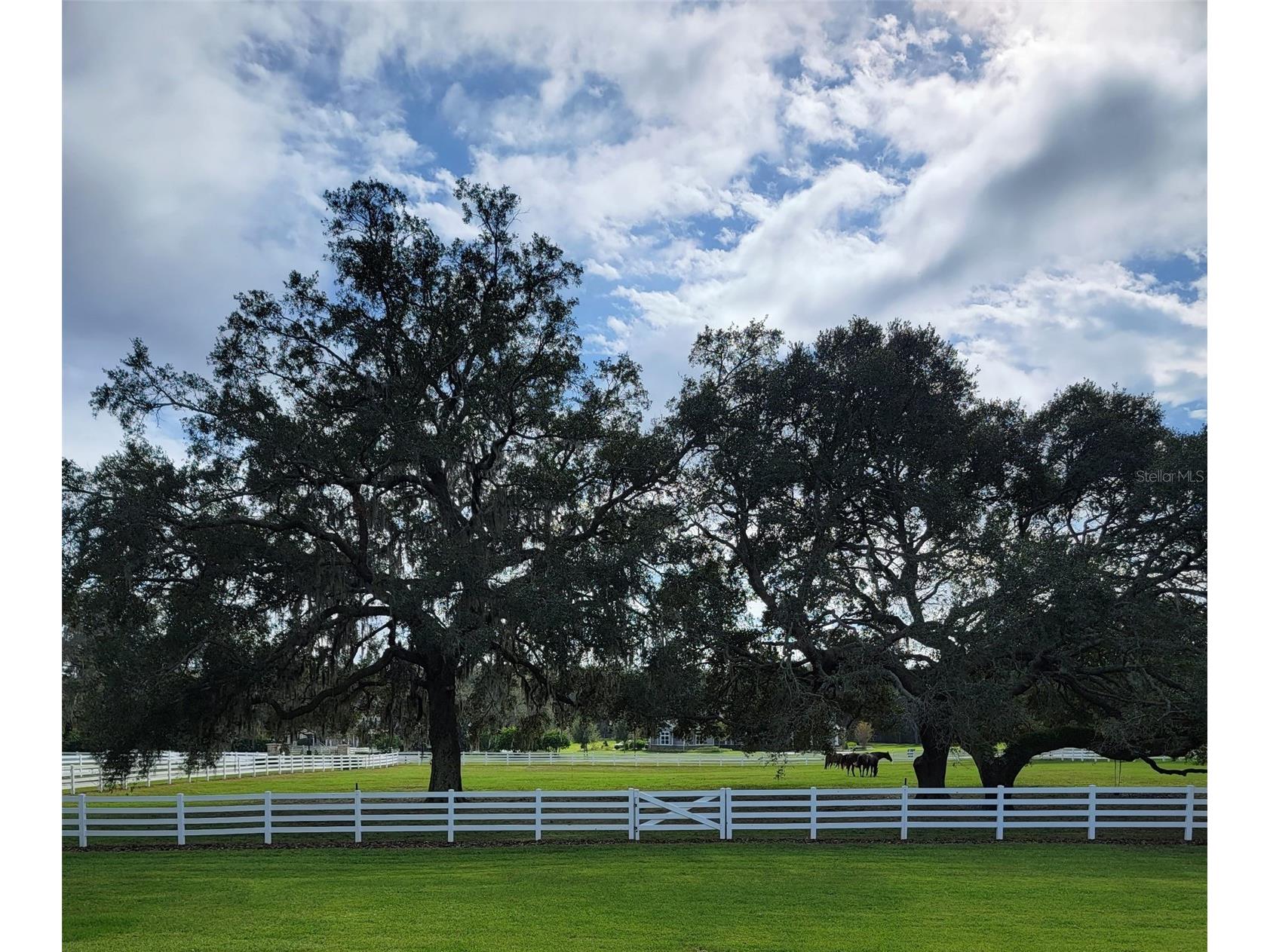 209 Kentucky Blue Circle Apopka FL 32712 O6358949 image75