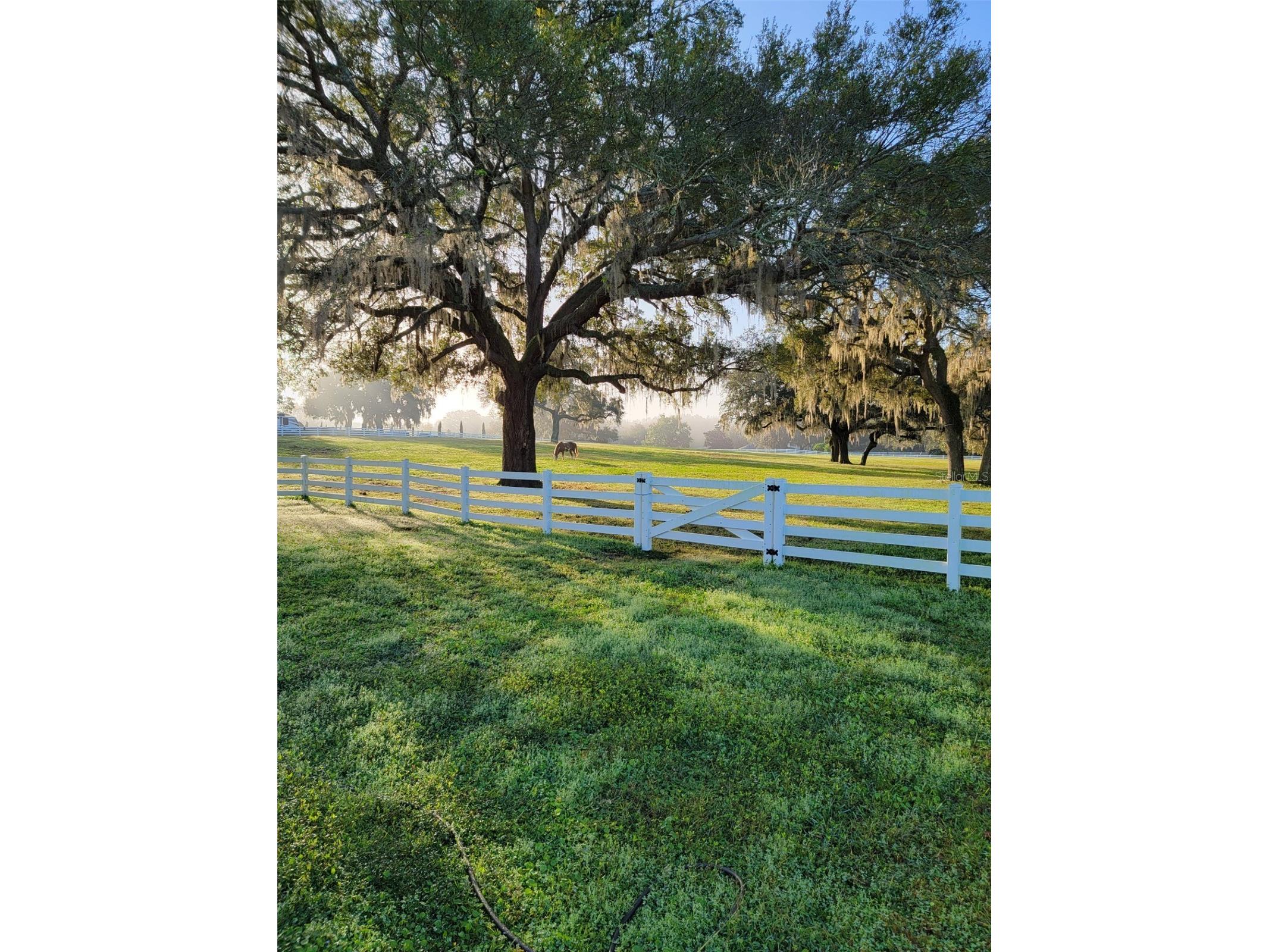 209 Kentucky Blue Circle Apopka FL 32712 O6358949 image77