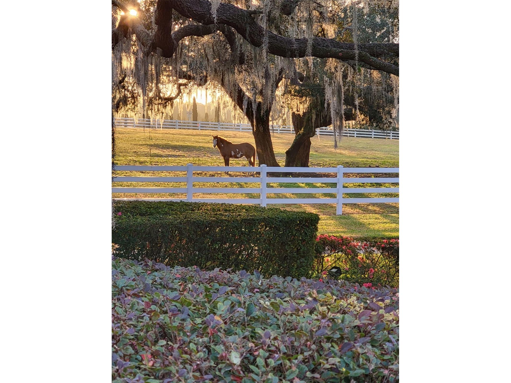 209 Kentucky Blue Circle Apopka FL 32712 O6358949 image79