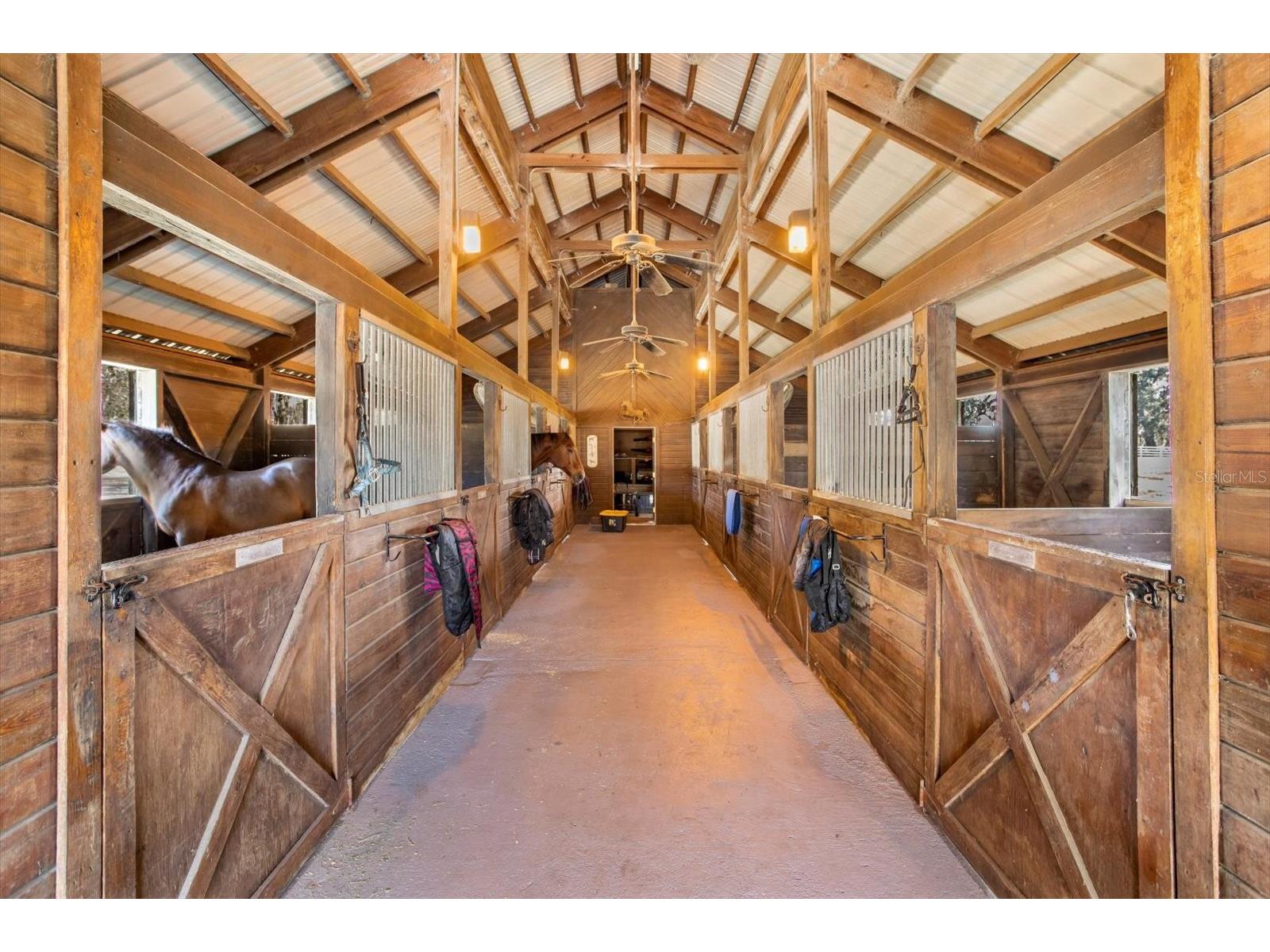 209 Kentucky Blue Circle Apopka FL 32712 O6358949 image8