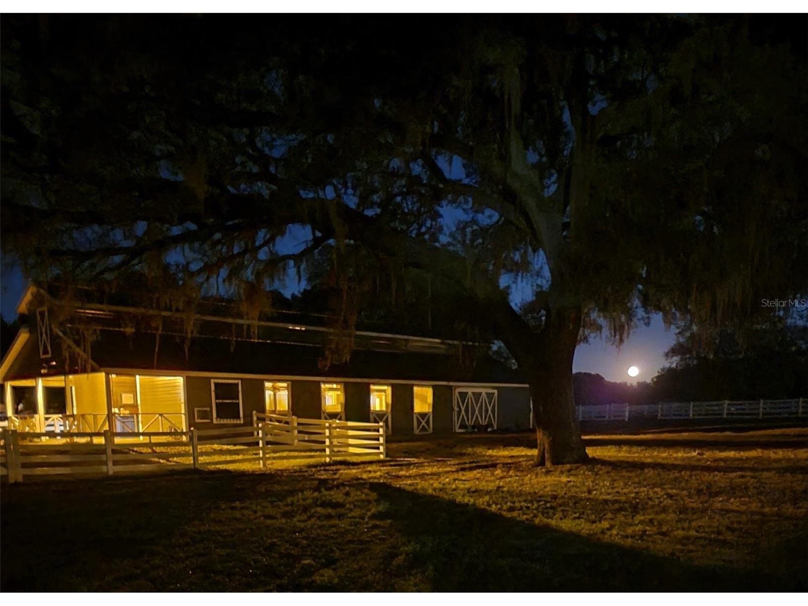 209 Kentucky Blue Circle Apopka FL 32712 O6358949 image9