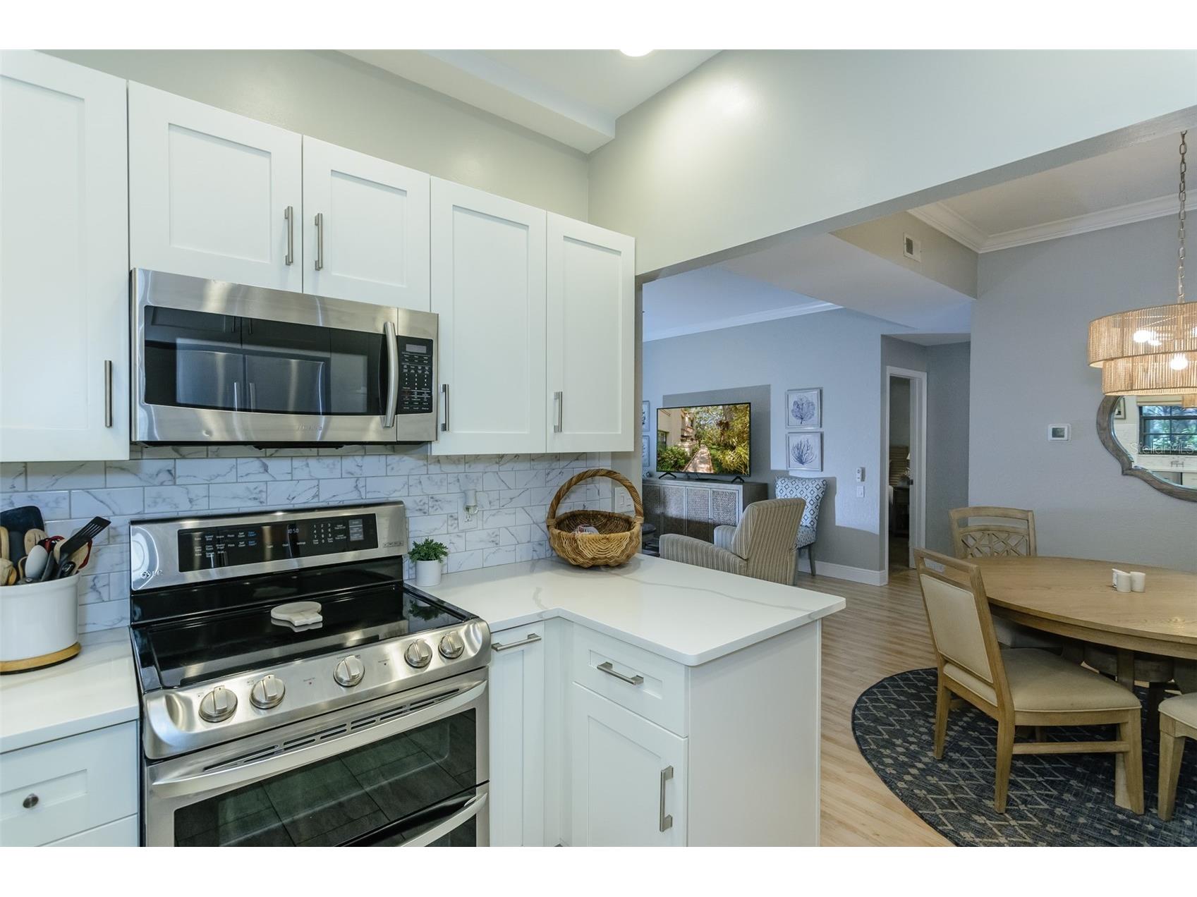 209 Los Prados Drive #1313 Safety Harbor FL 34695 TB8517099 image11