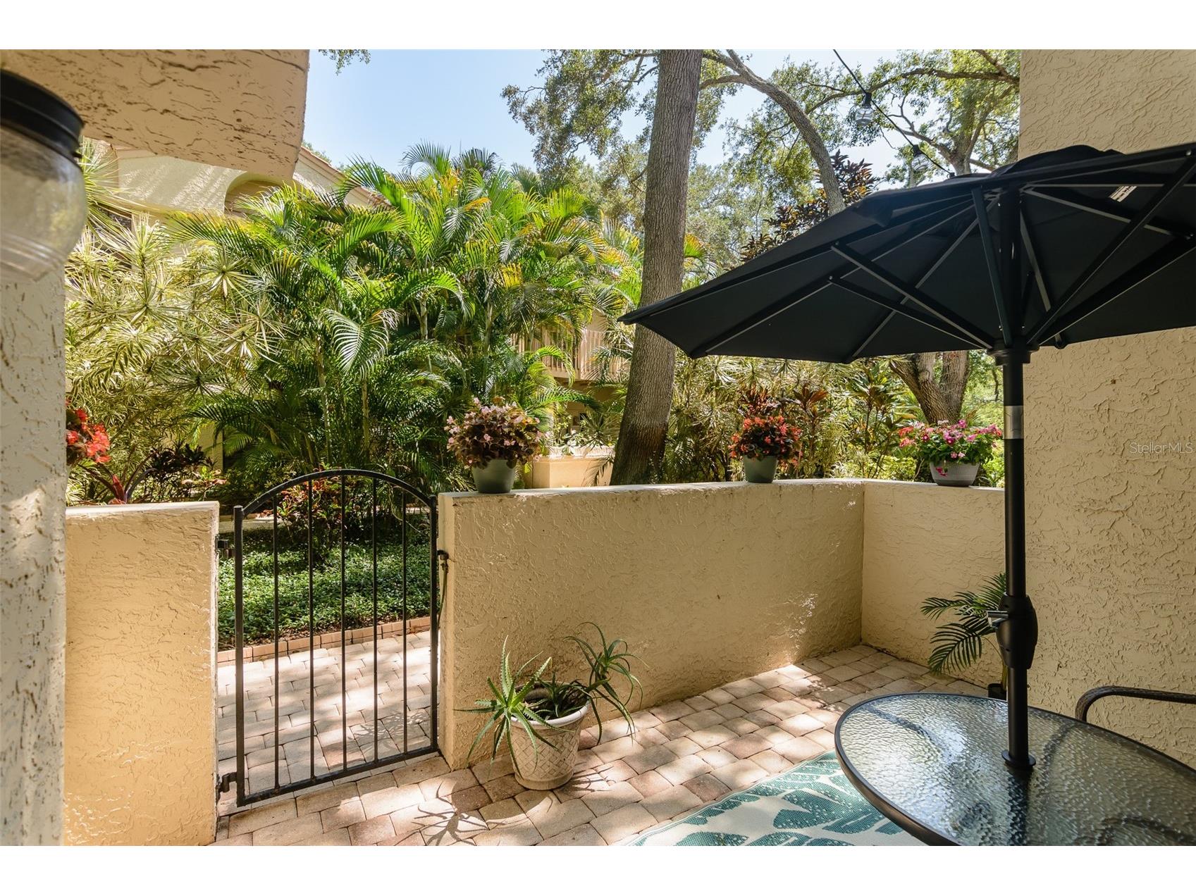 209 Los Prados Drive #1313 Safety Harbor FL 34695 TB8517099 image2
