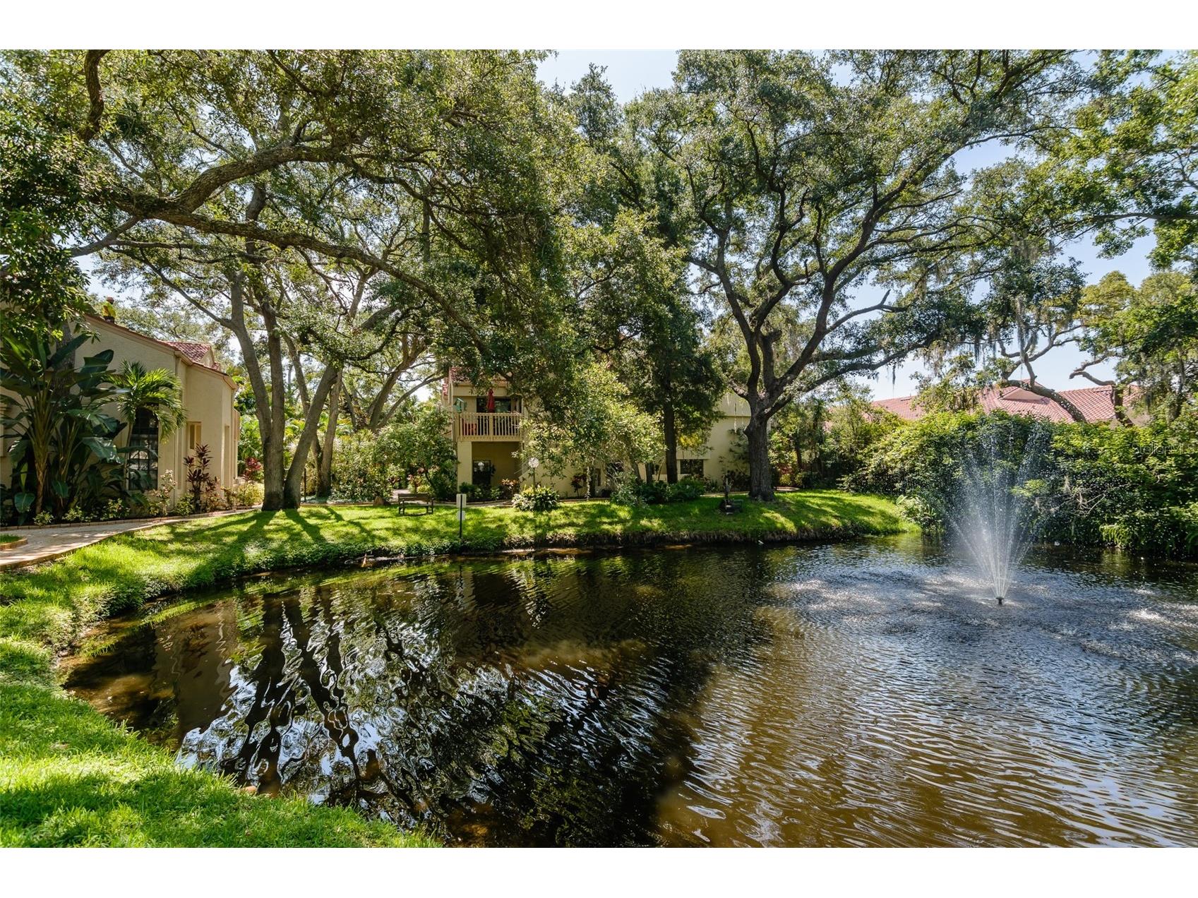 209 Los Prados Drive #1313 Safety Harbor FL 34695 TB8517099 image29