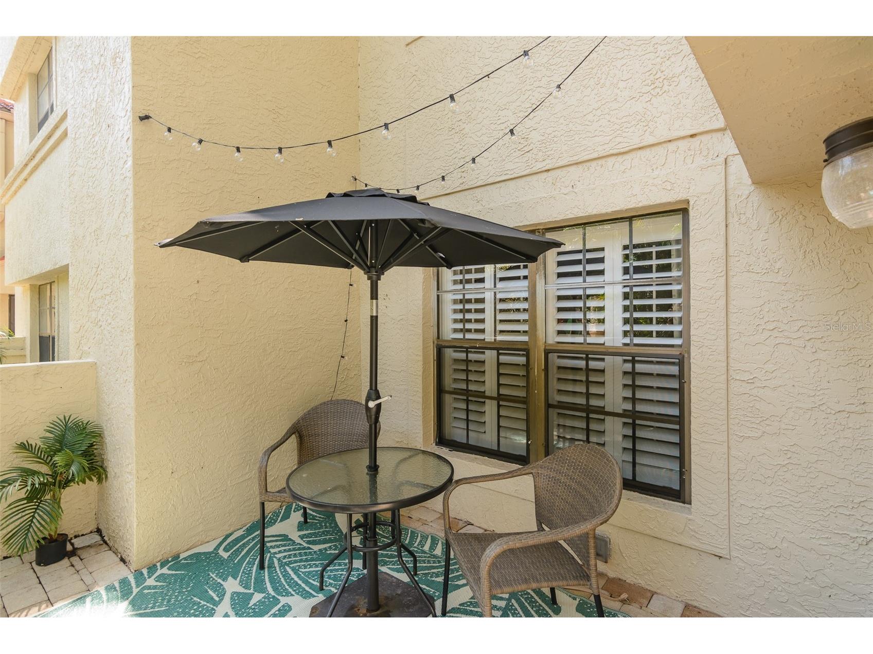 209 Los Prados Drive #1313 Safety Harbor FL 34695 TB8517099 image3