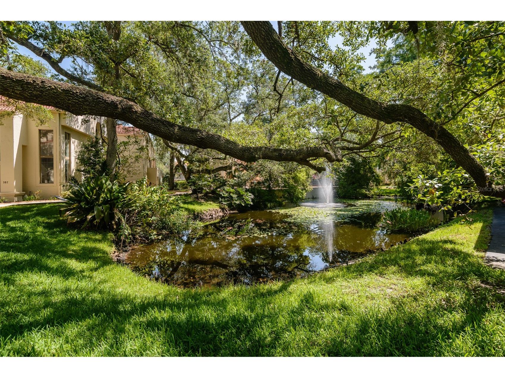 209 Los Prados Drive #1313 Safety Harbor FL 34695 TB8517099 image30