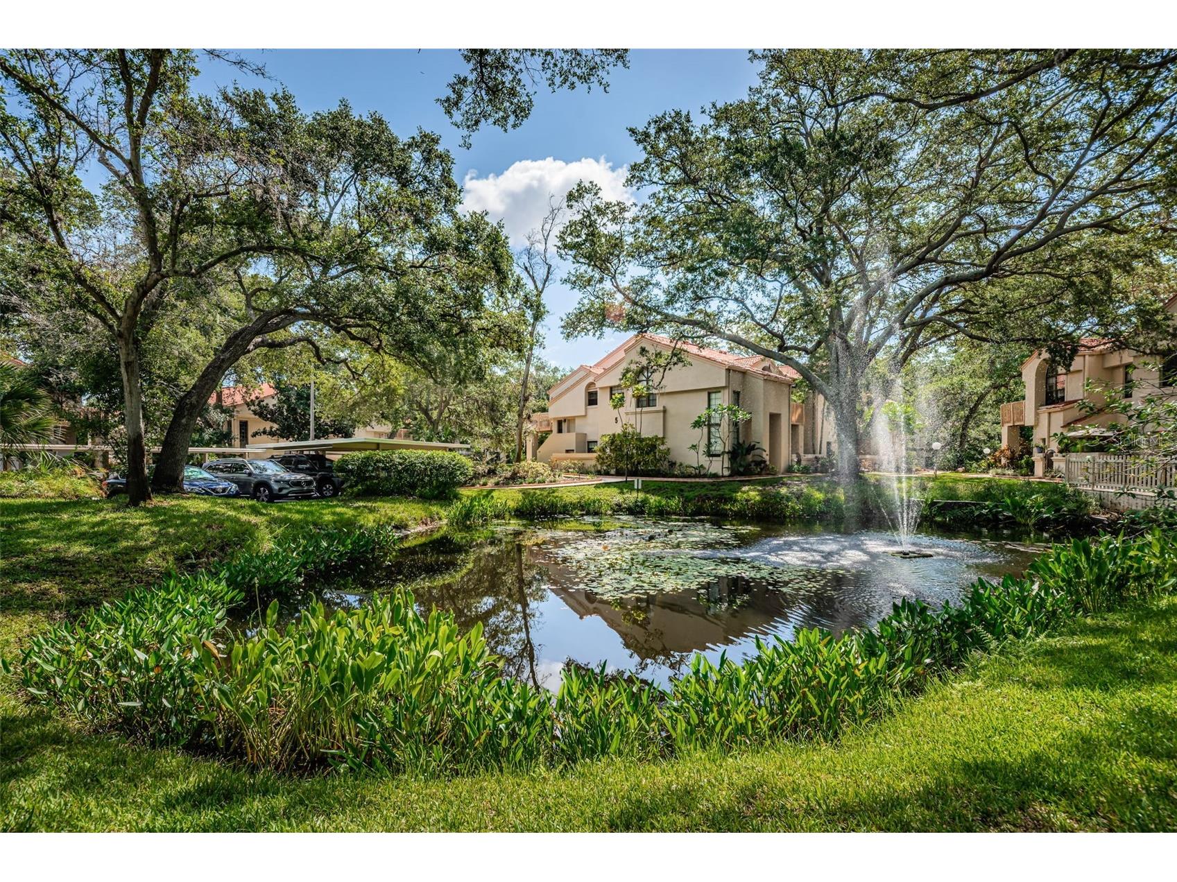209 Los Prados Drive #1313 Safety Harbor FL 34695 TB8517099 image32