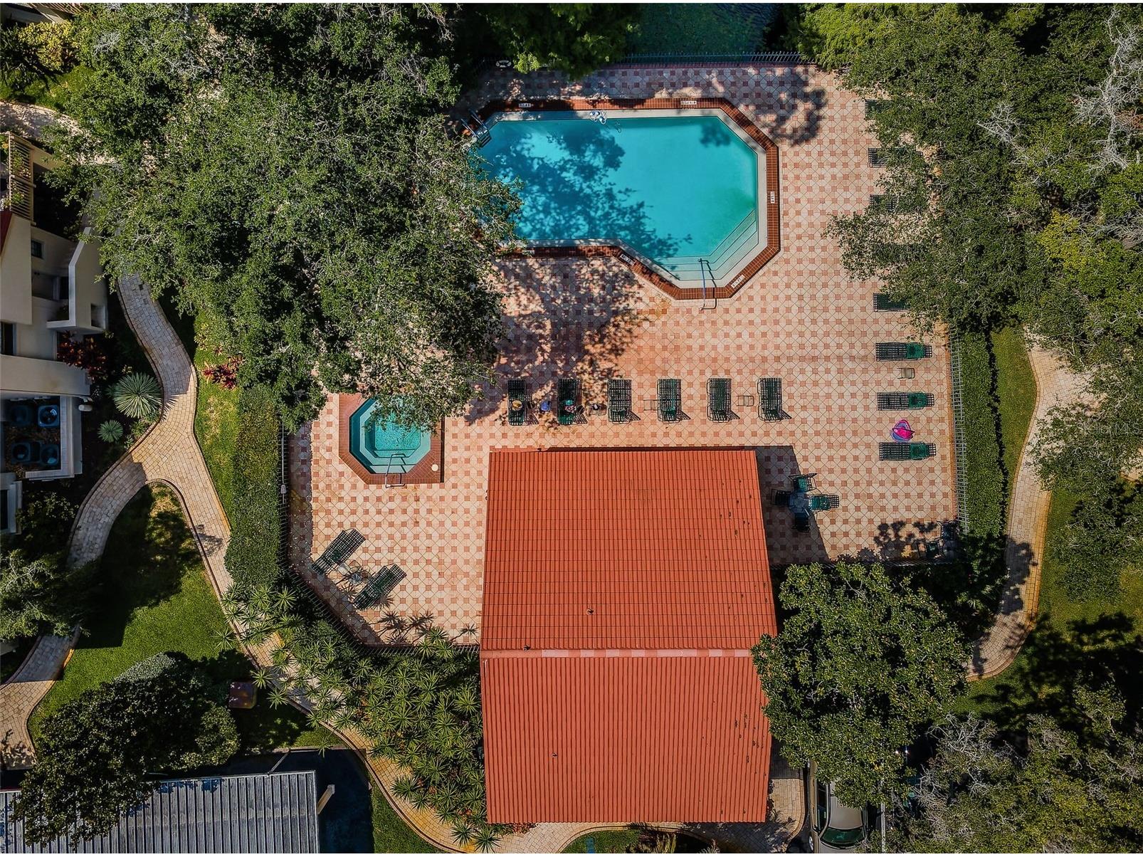 209 Los Prados Drive #1313 Safety Harbor FL 34695 TB8517099 image33