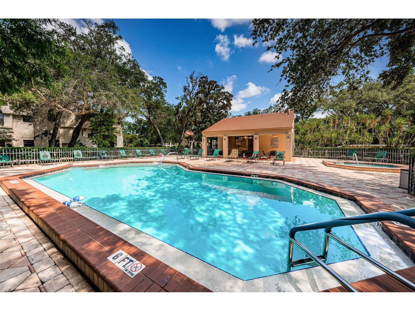 209 Los Prados Drive #1313 Safety Harbor FL 34695 TB8517099 image34