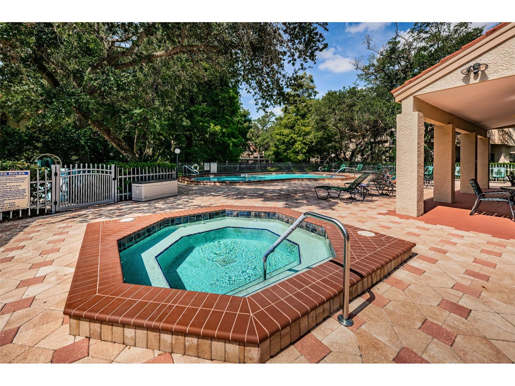 209 Los Prados Drive #1313 Safety Harbor FL 34695 TB8517099 image35