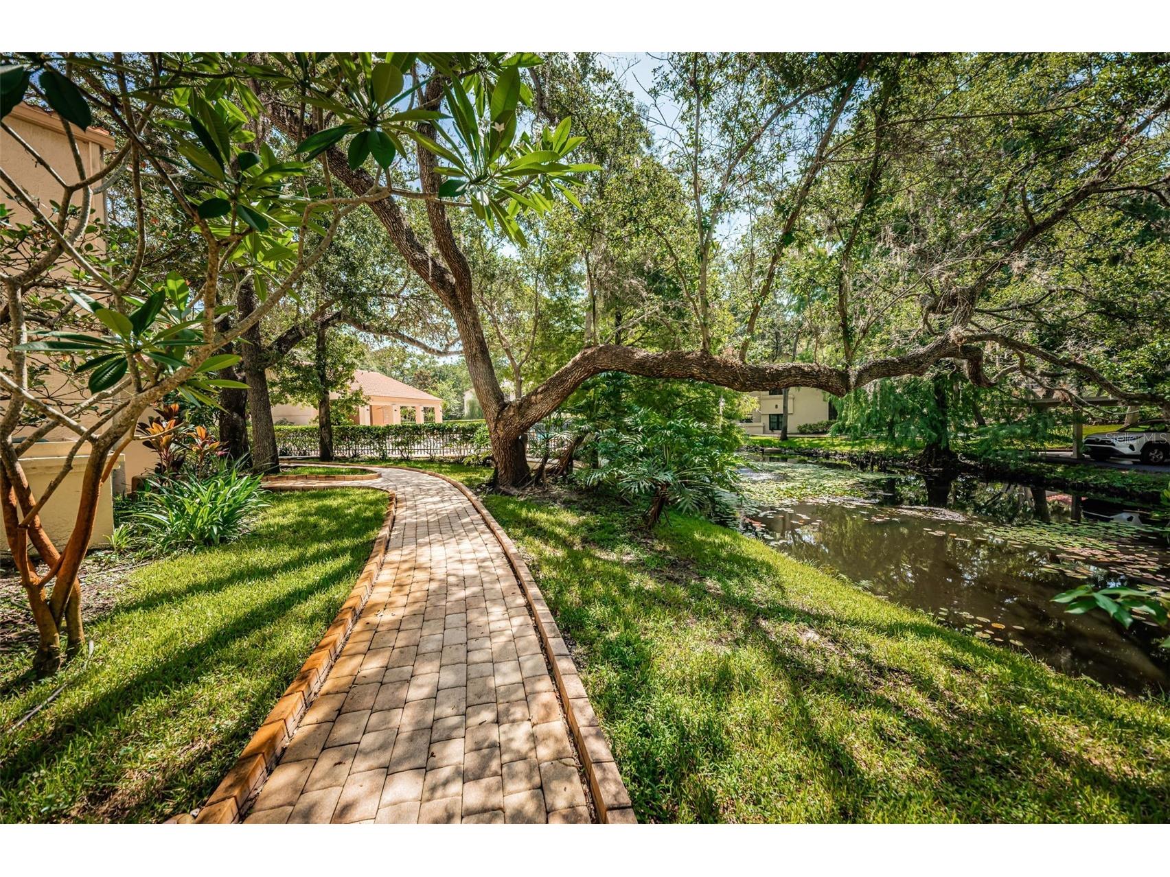209 Los Prados Drive #1313 Safety Harbor FL 34695 TB8517099 image38