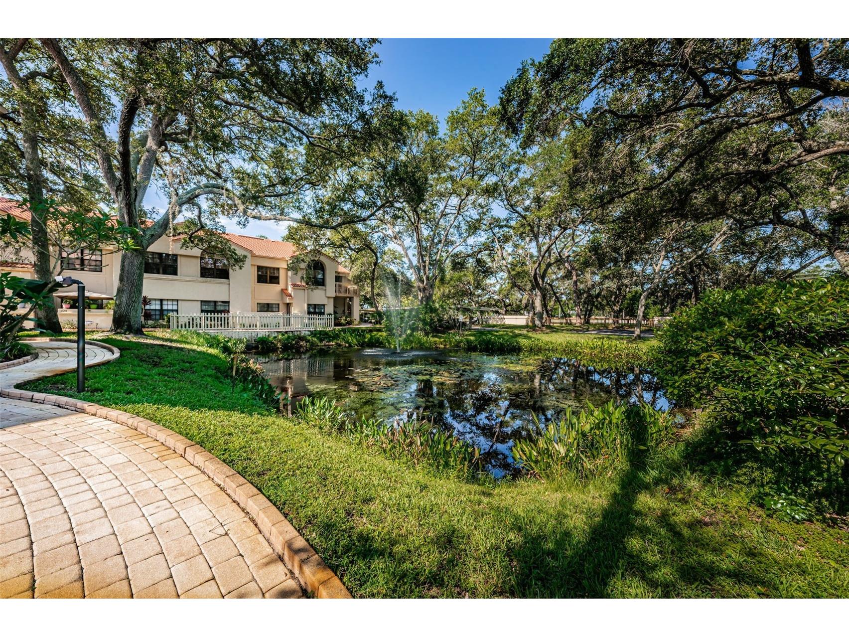 209 Los Prados Drive #1313 Safety Harbor FL 34695 TB8517099 image39